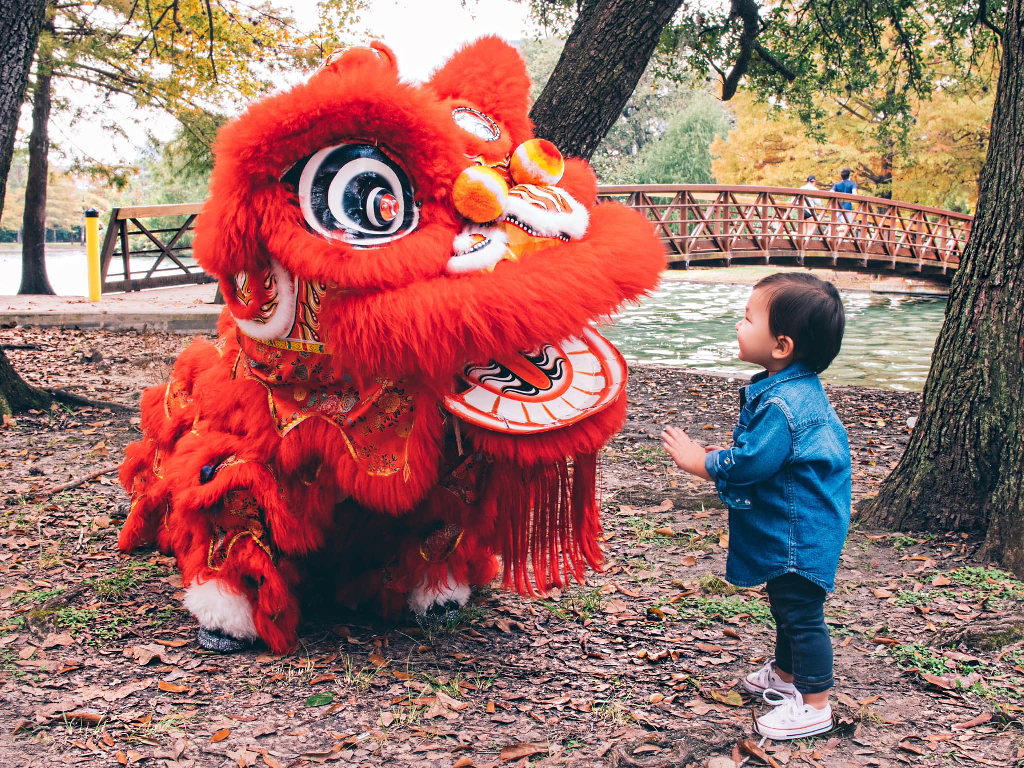 Lunar New Year events in the Greater Houston Area