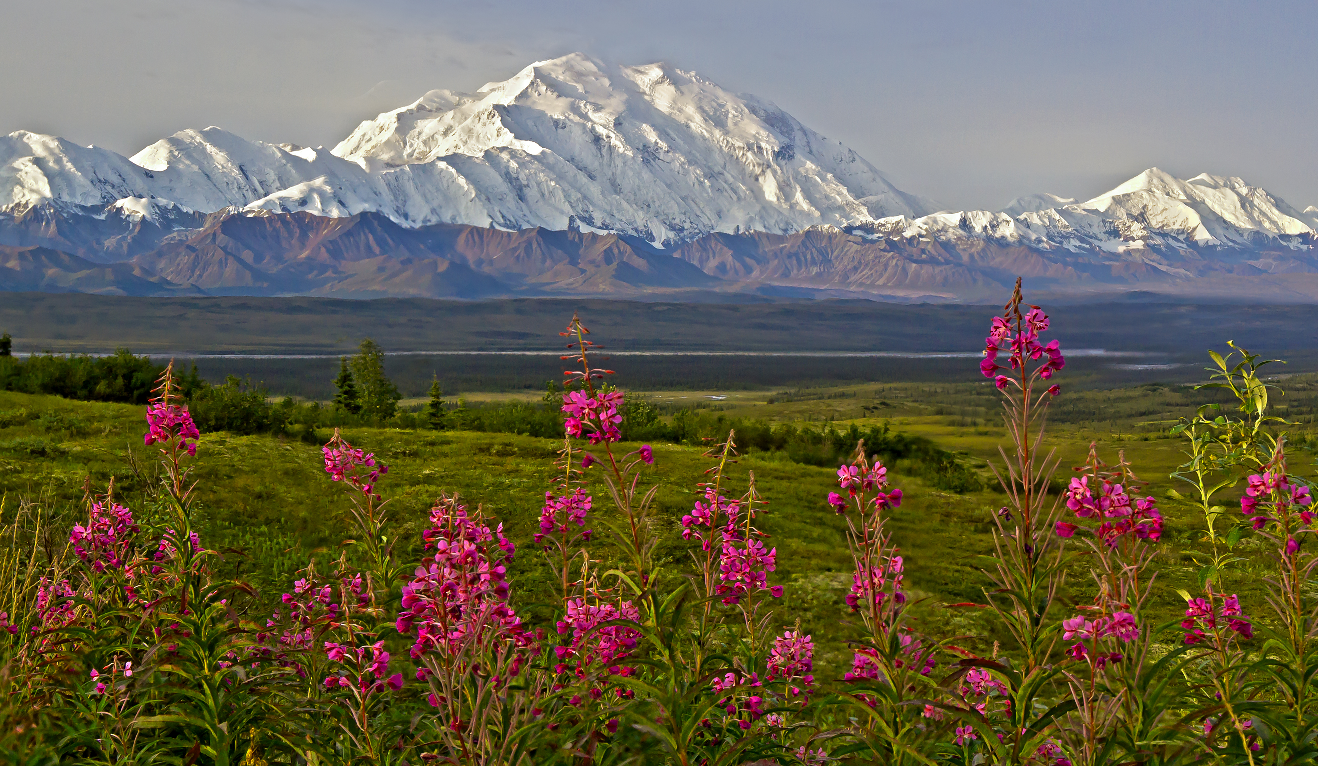 Denali National Park & Preserve, Alaska