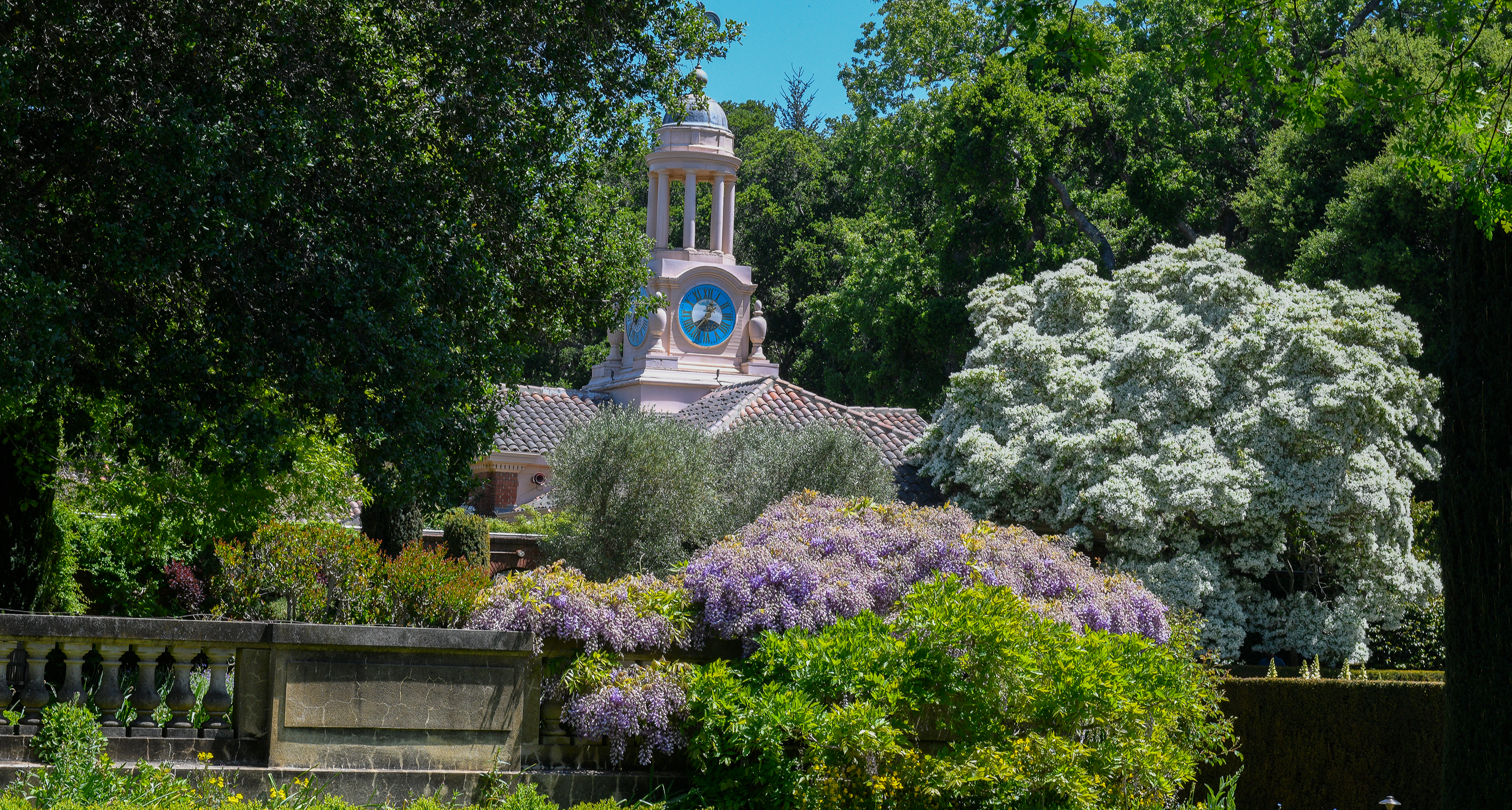 Gardens on The San Francisco Peninsula