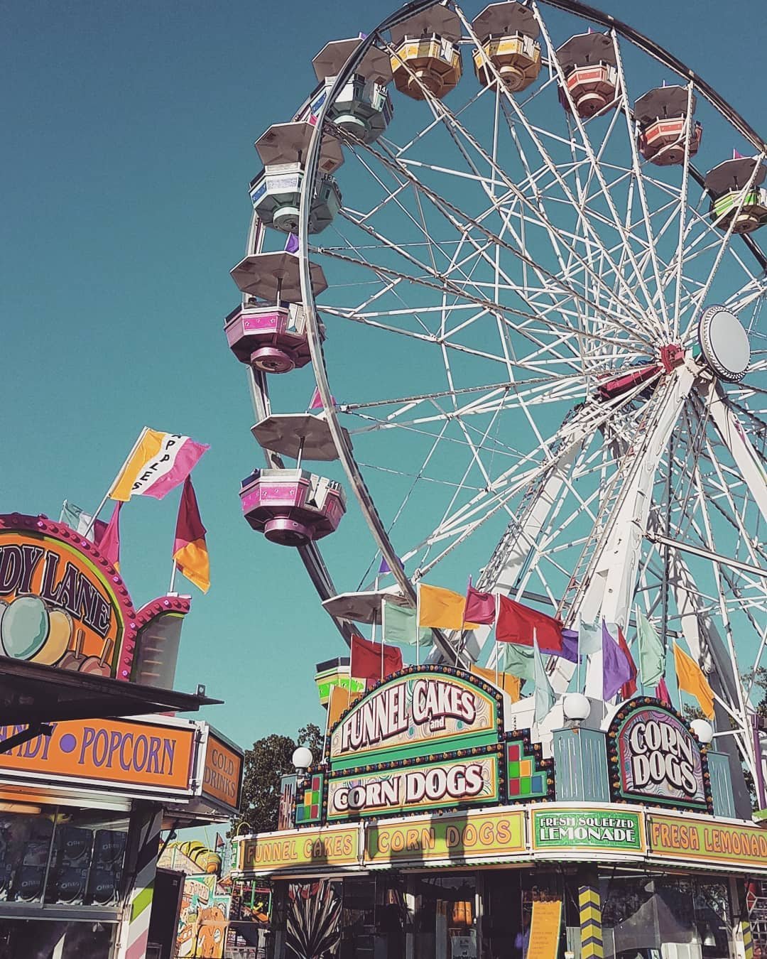 Things to Do in Conroe Tx: Uncover Hidden Gems