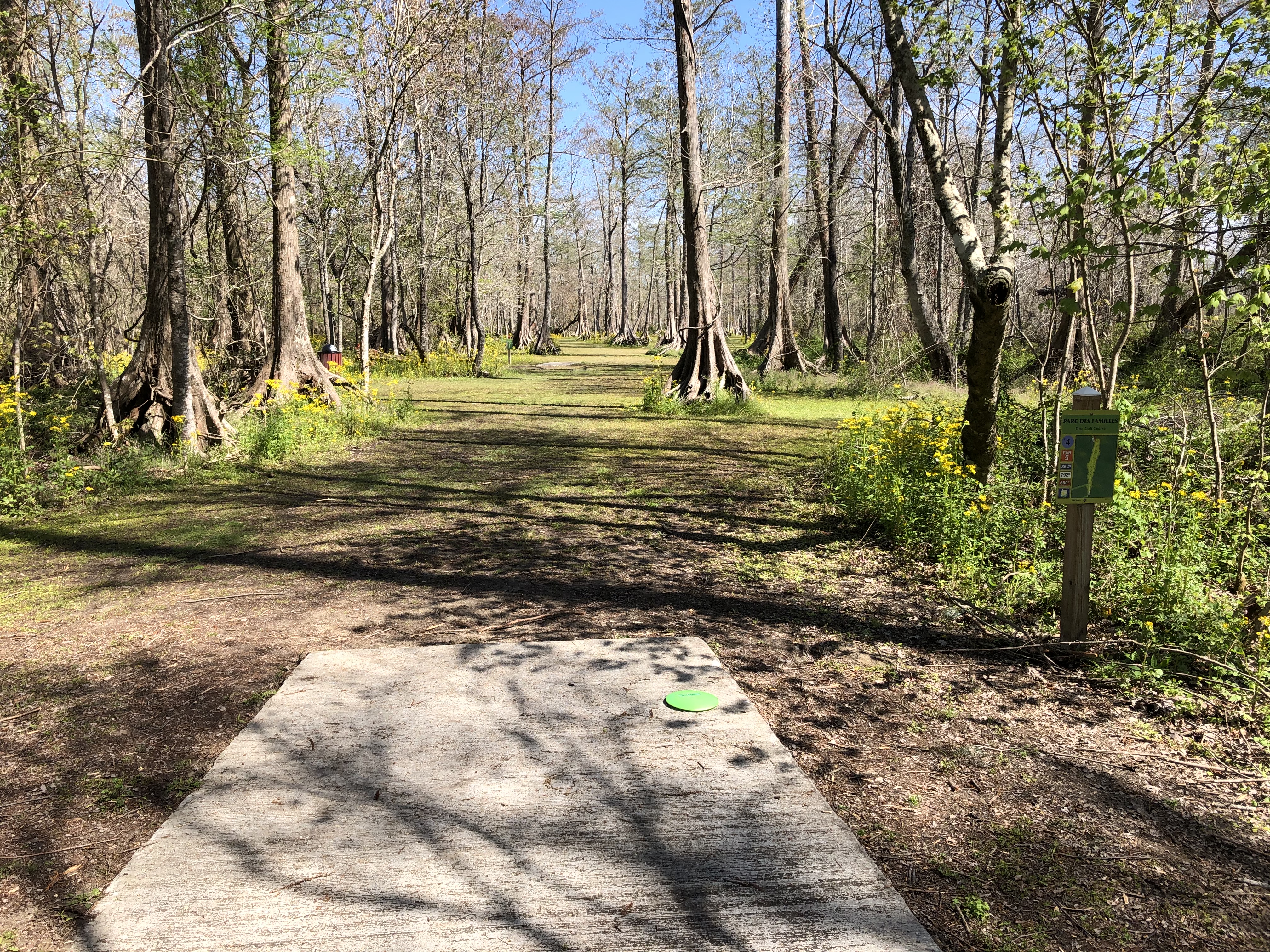 Disc Golf - New Orleans City Park