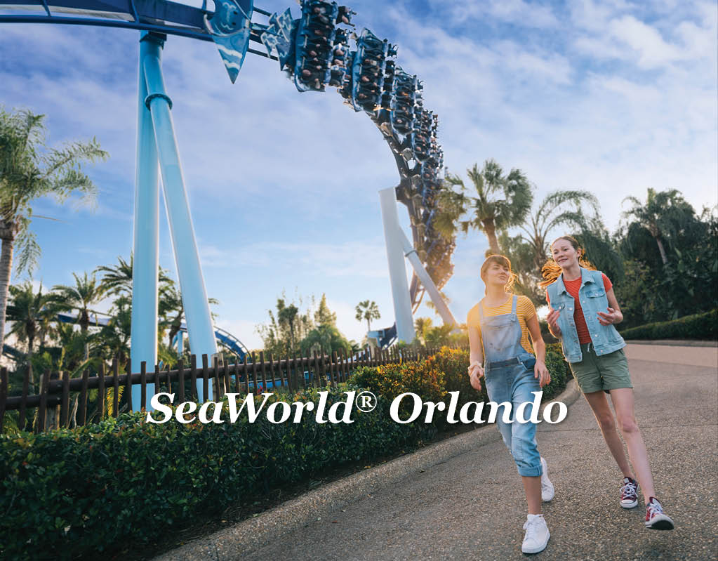 Parques Temáticos en Orlando | Disney World, Universal, y SeaWorld