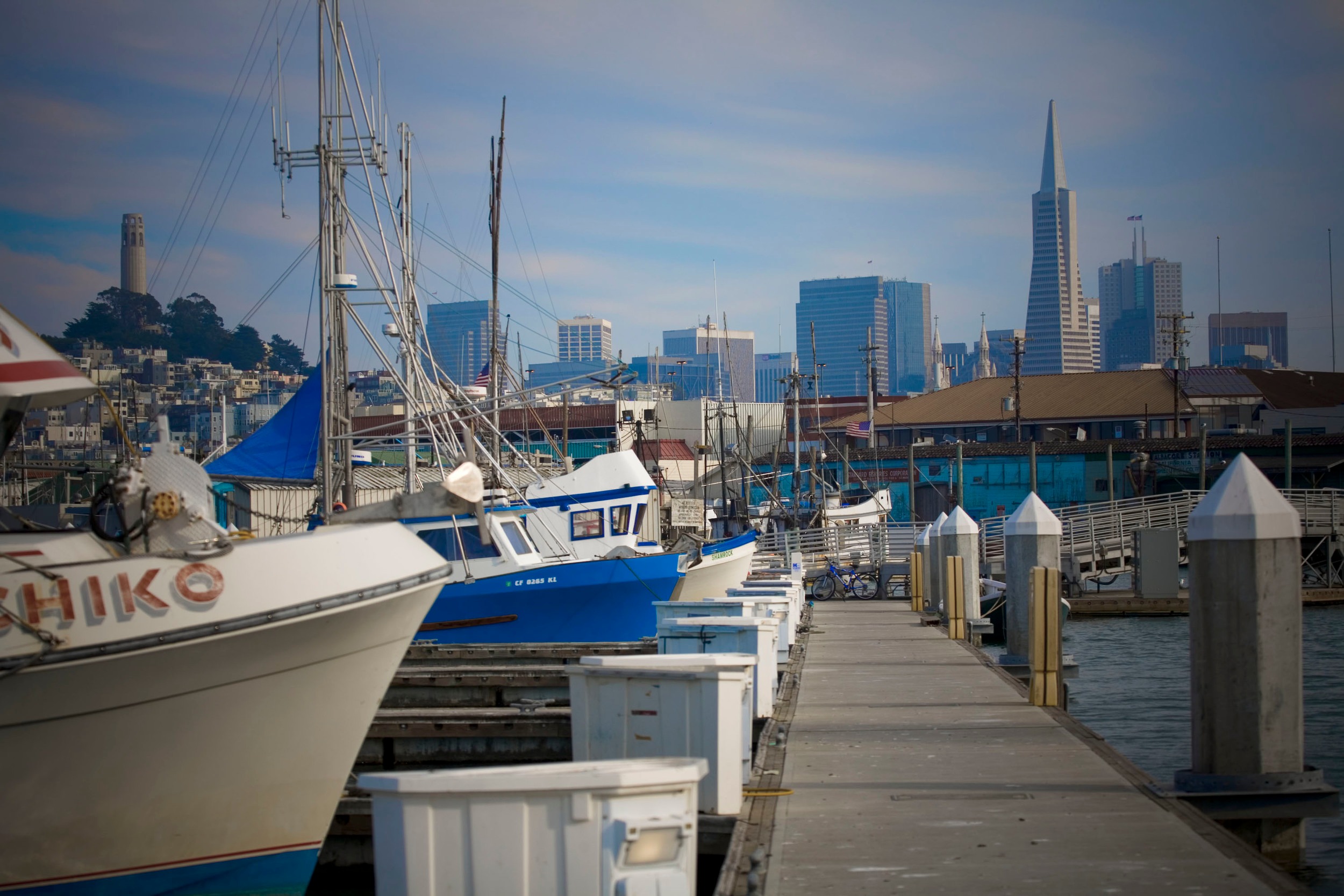 Fleet of Small Fishing Boats Around Pier 39, Fisherman's Wharf