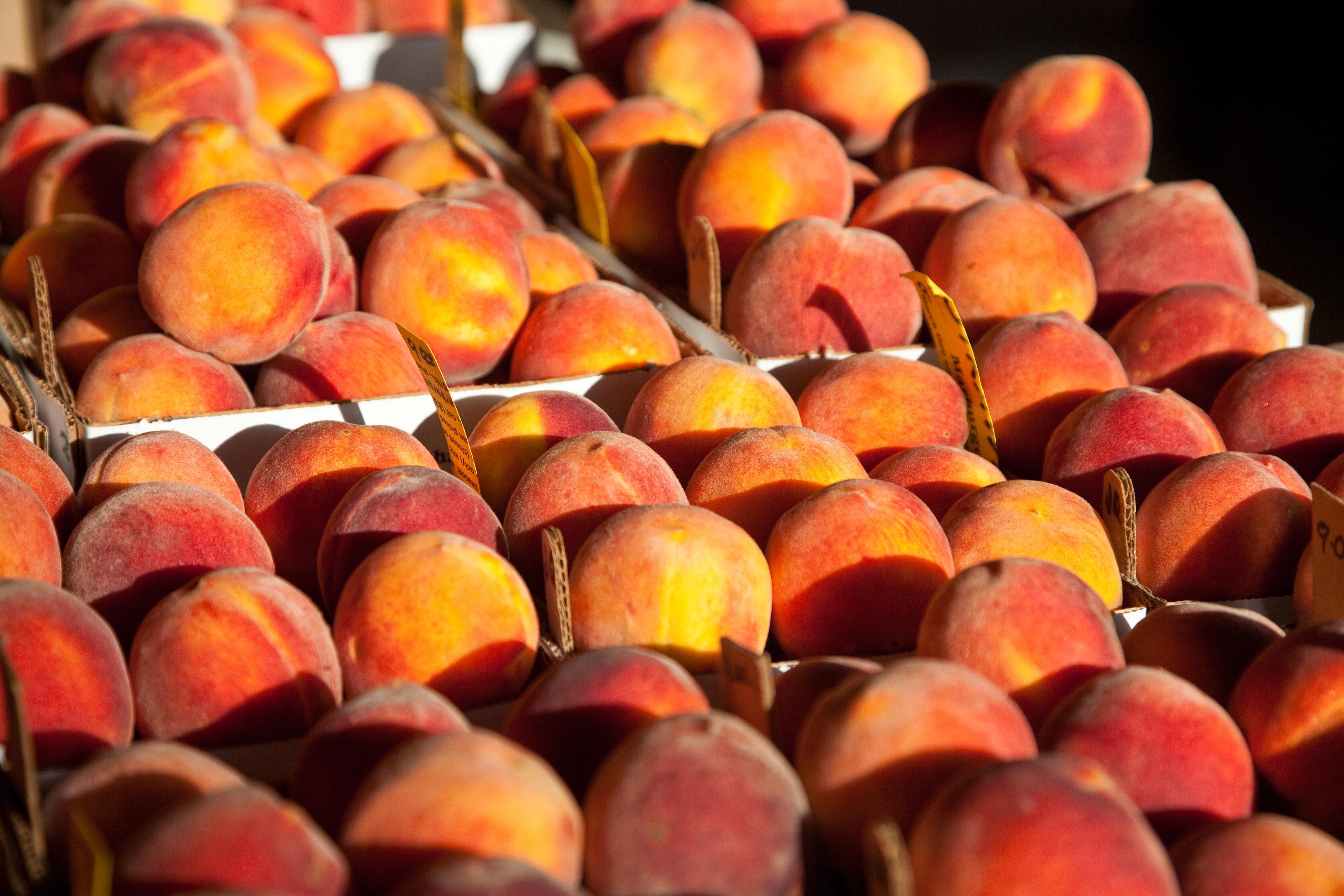 Peaches  Things to do in Fredericksburg, Texas