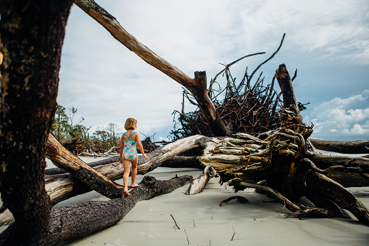 Crab Nets, Hunting Island State Park, South Carolina, Victoria Lea B