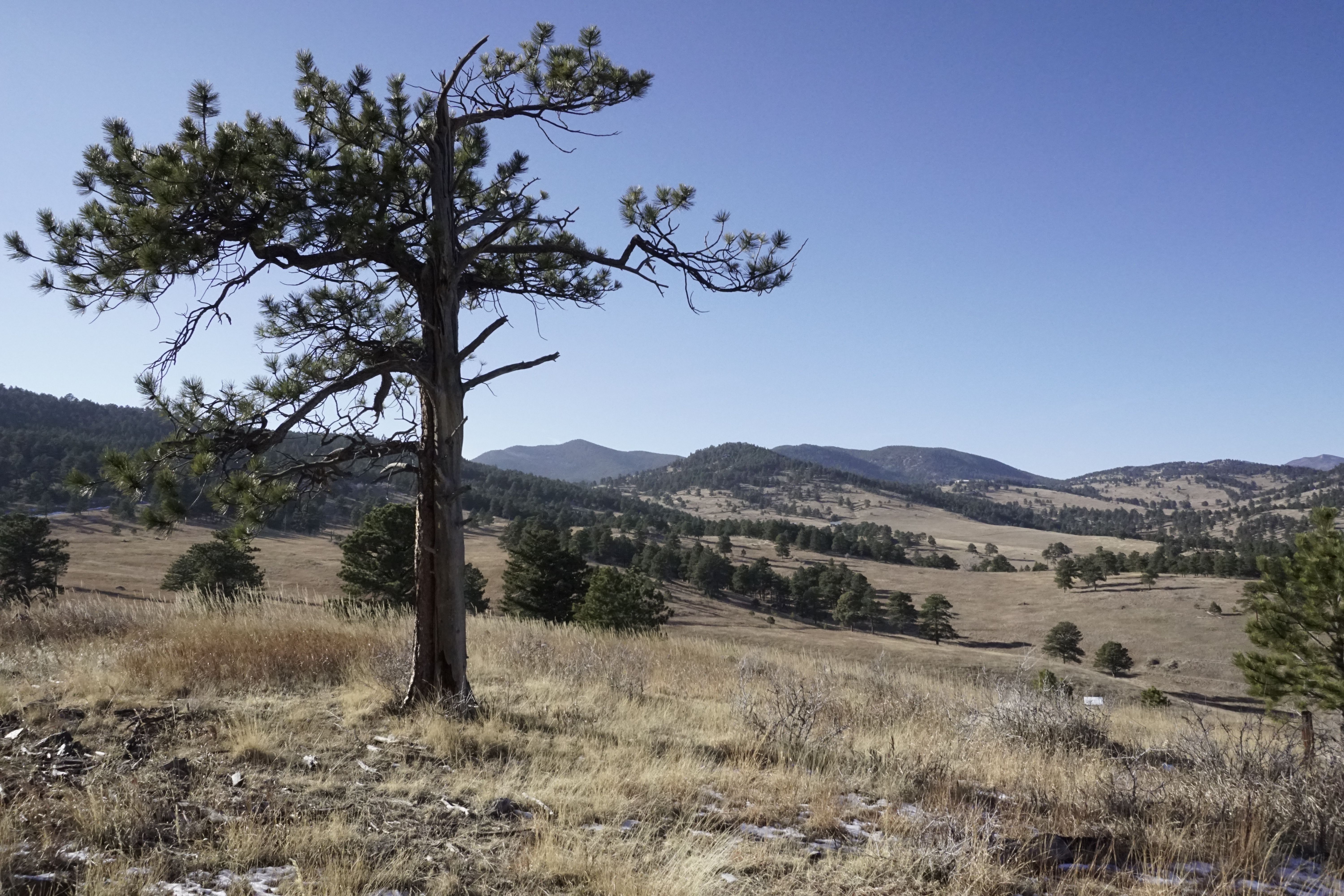 White ranch park mountain biking new arrivals