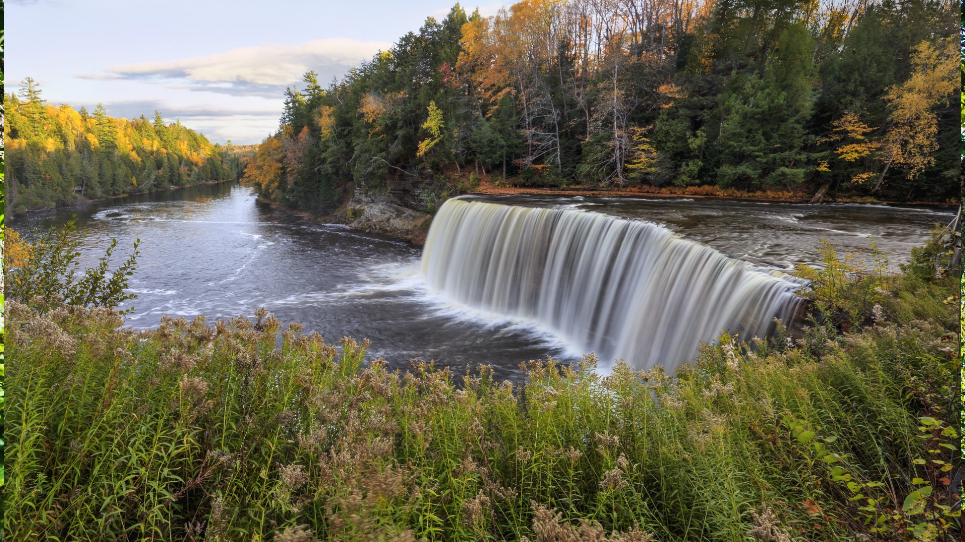 8 Michigan Destinations Perfect for Watching Wildlife