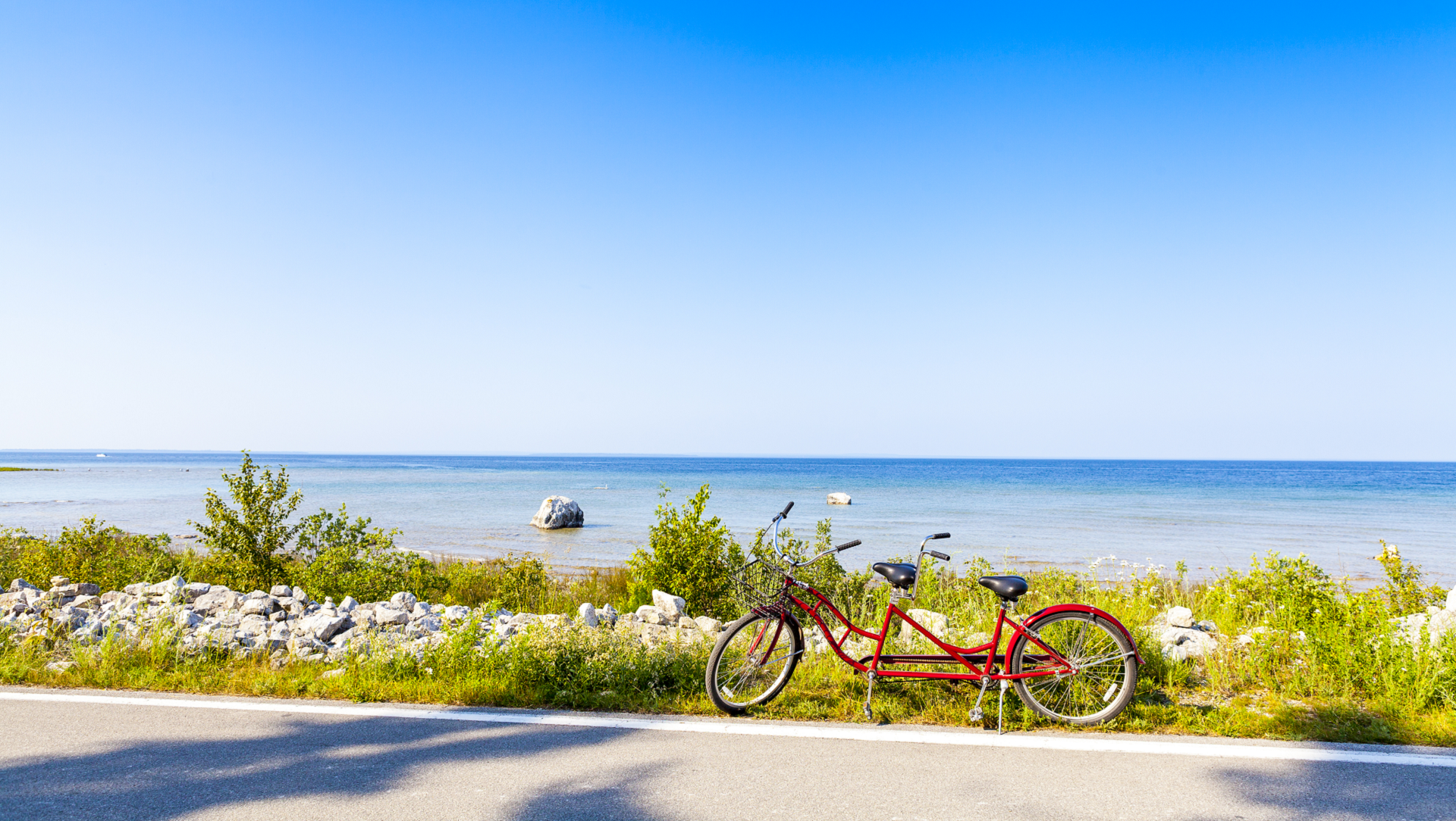 are dogs allowed on mackinac island