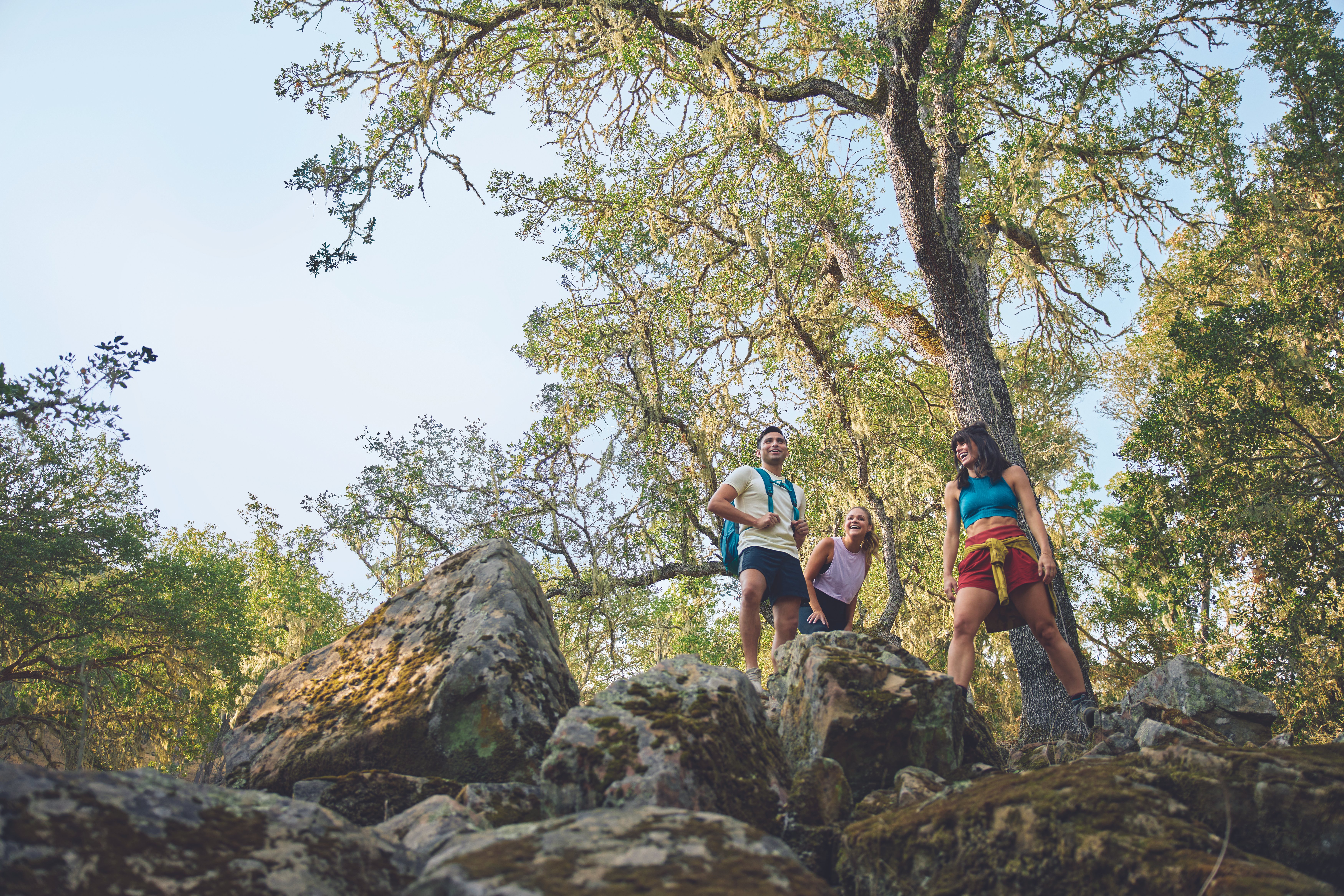 Morro Bay's Black Hill requires a minimal hike to reach amazing views, Get  Out, San Luis Obispo