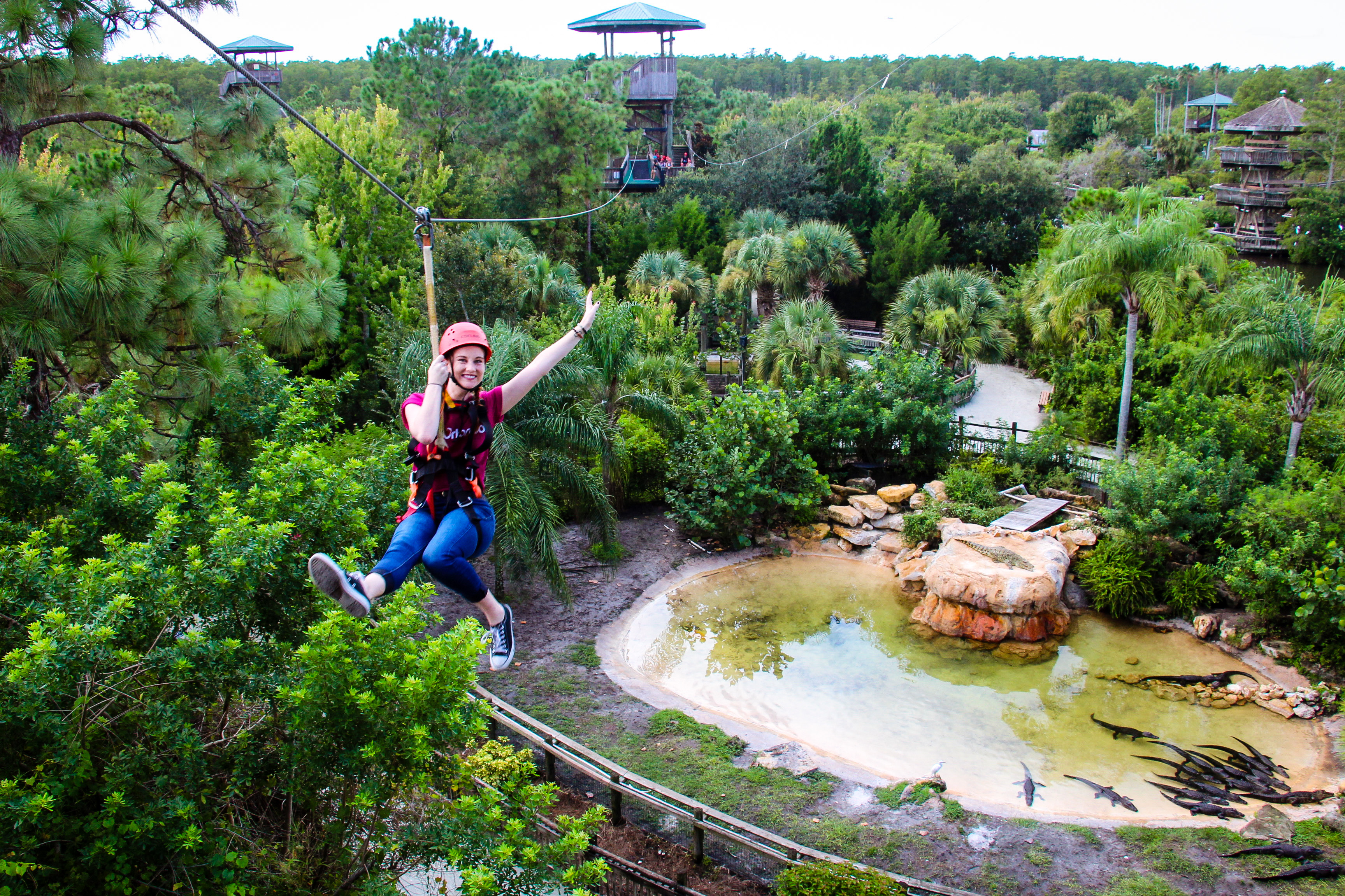 New York's Winter Zipline Adventure Takes You Above the Trees