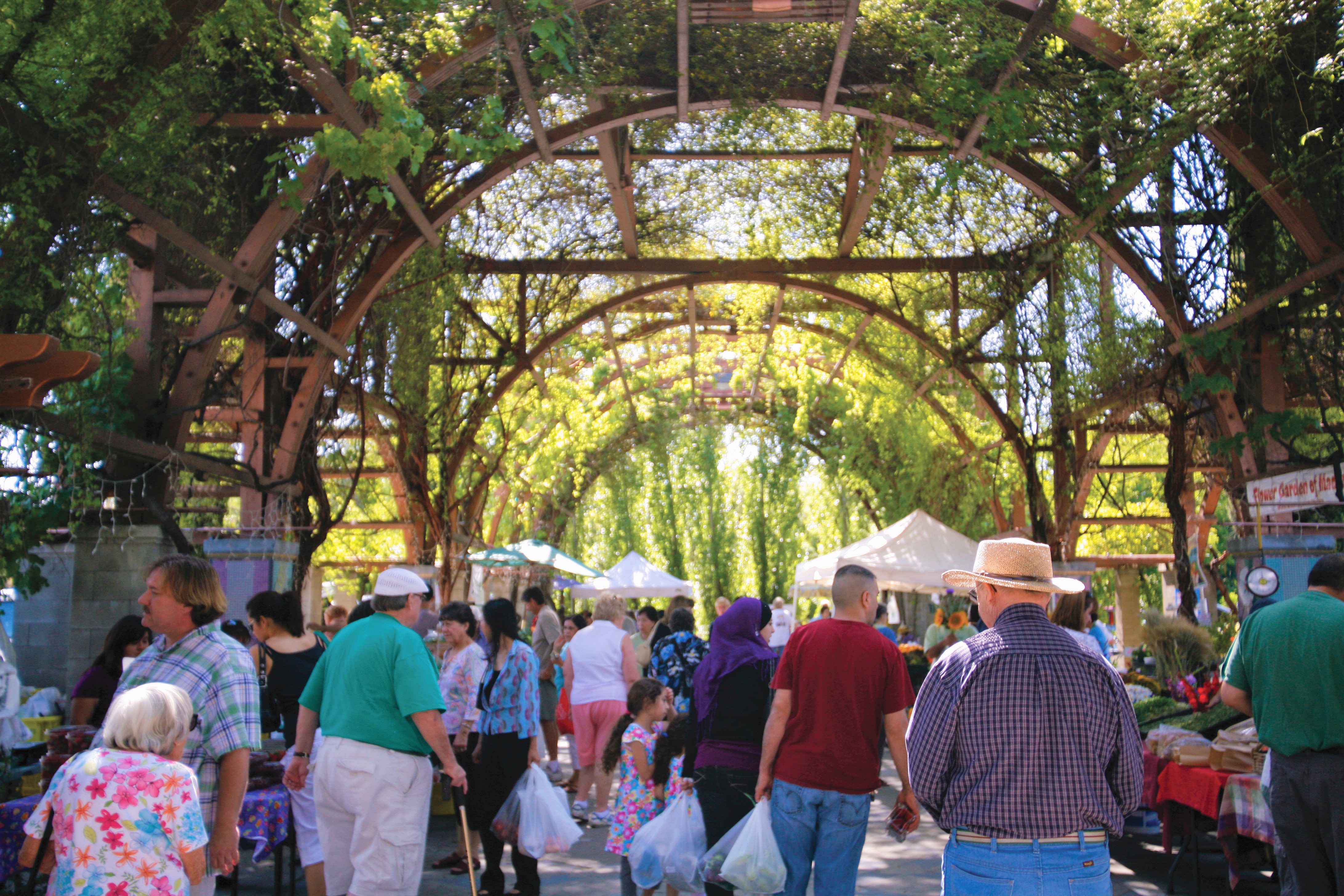 Outdoor Market