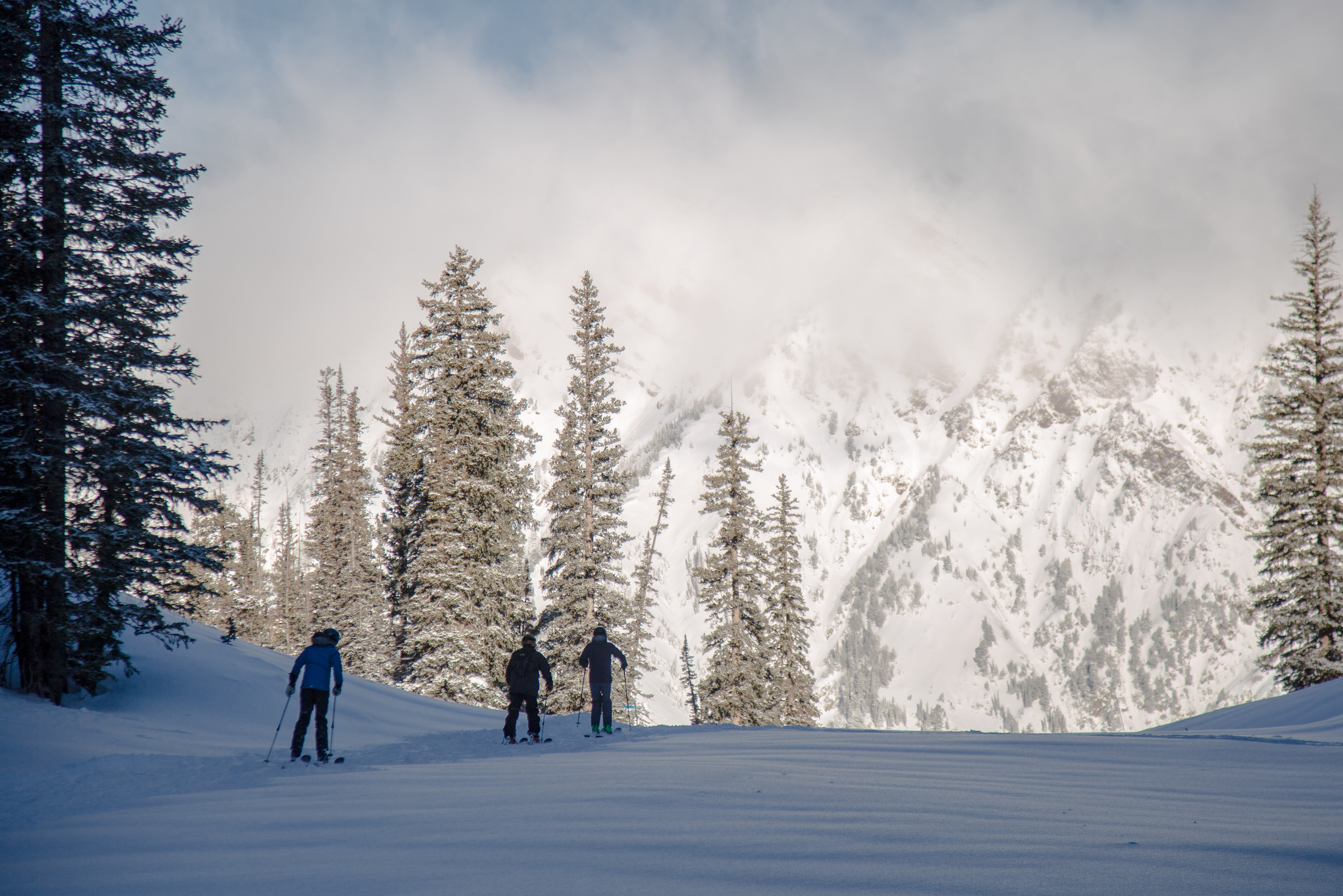 Ski City Resort Webcams Alta, Snowbird, Brighton, Solitude