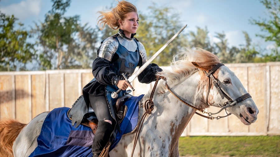 32nd Annual Florida Renaissance Festival