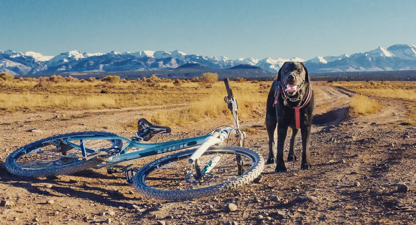 Dog friendly bike trails near me store