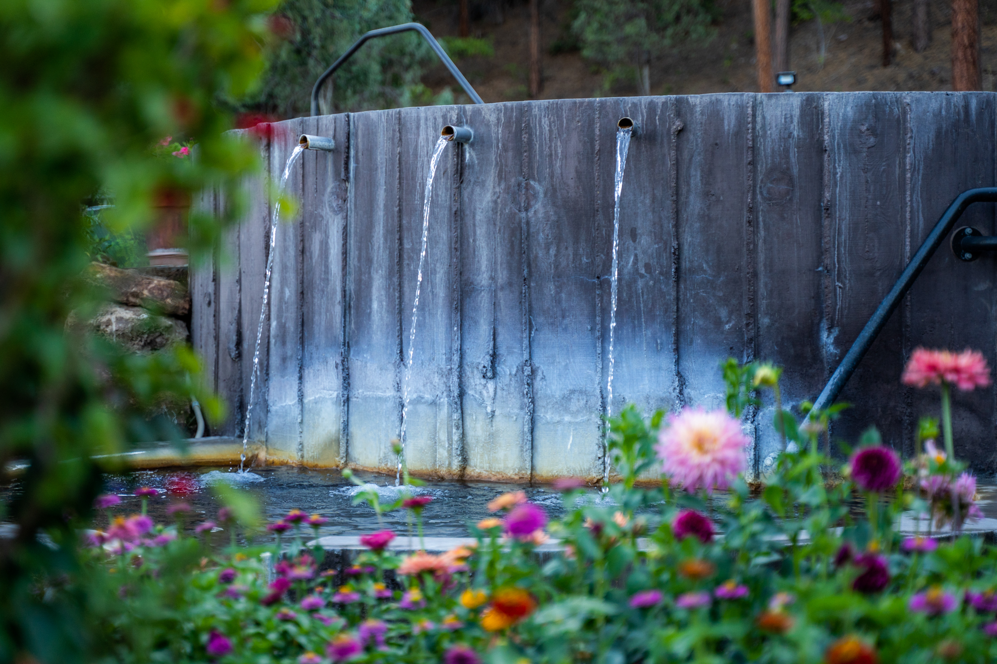 50 Things to Do in Spring | Visit Durango, CO | Official Tourism Site