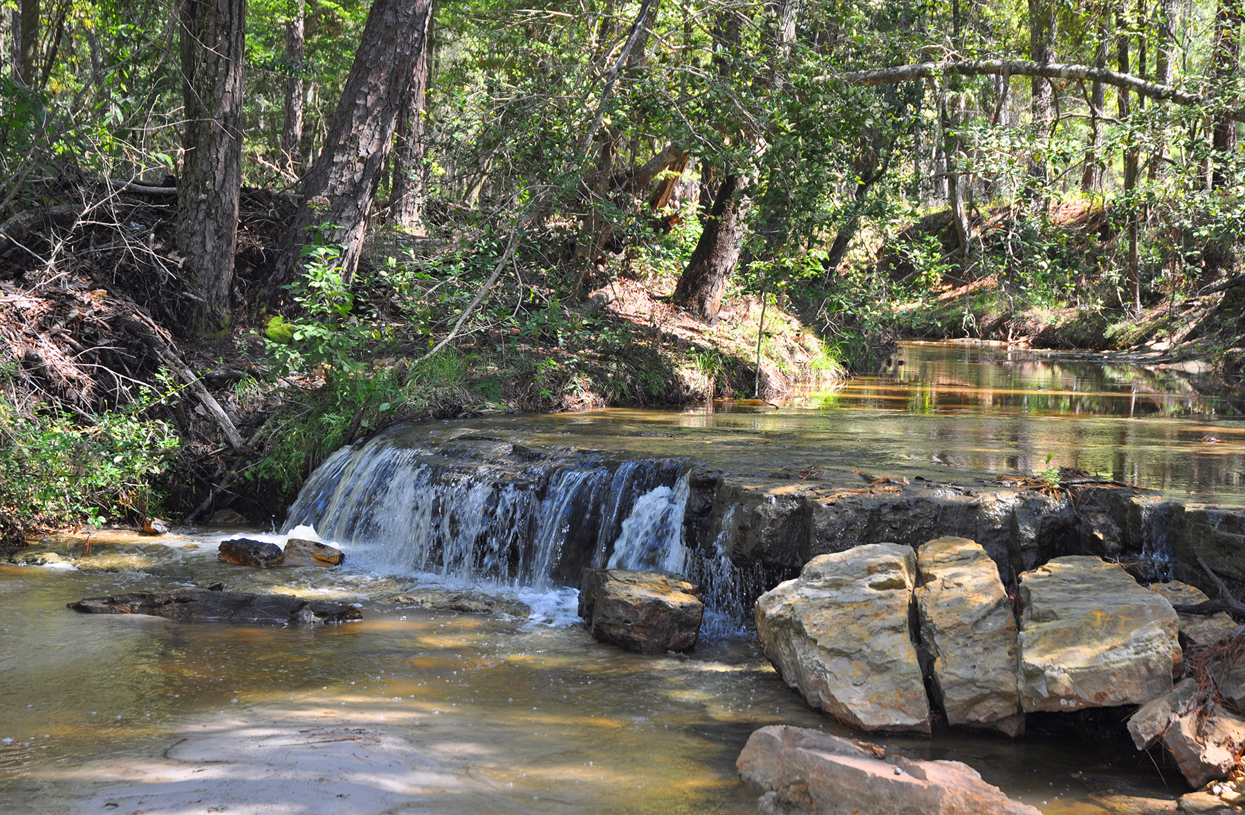 Camping in Texas  Campgrounds, RV Parks & State Parks