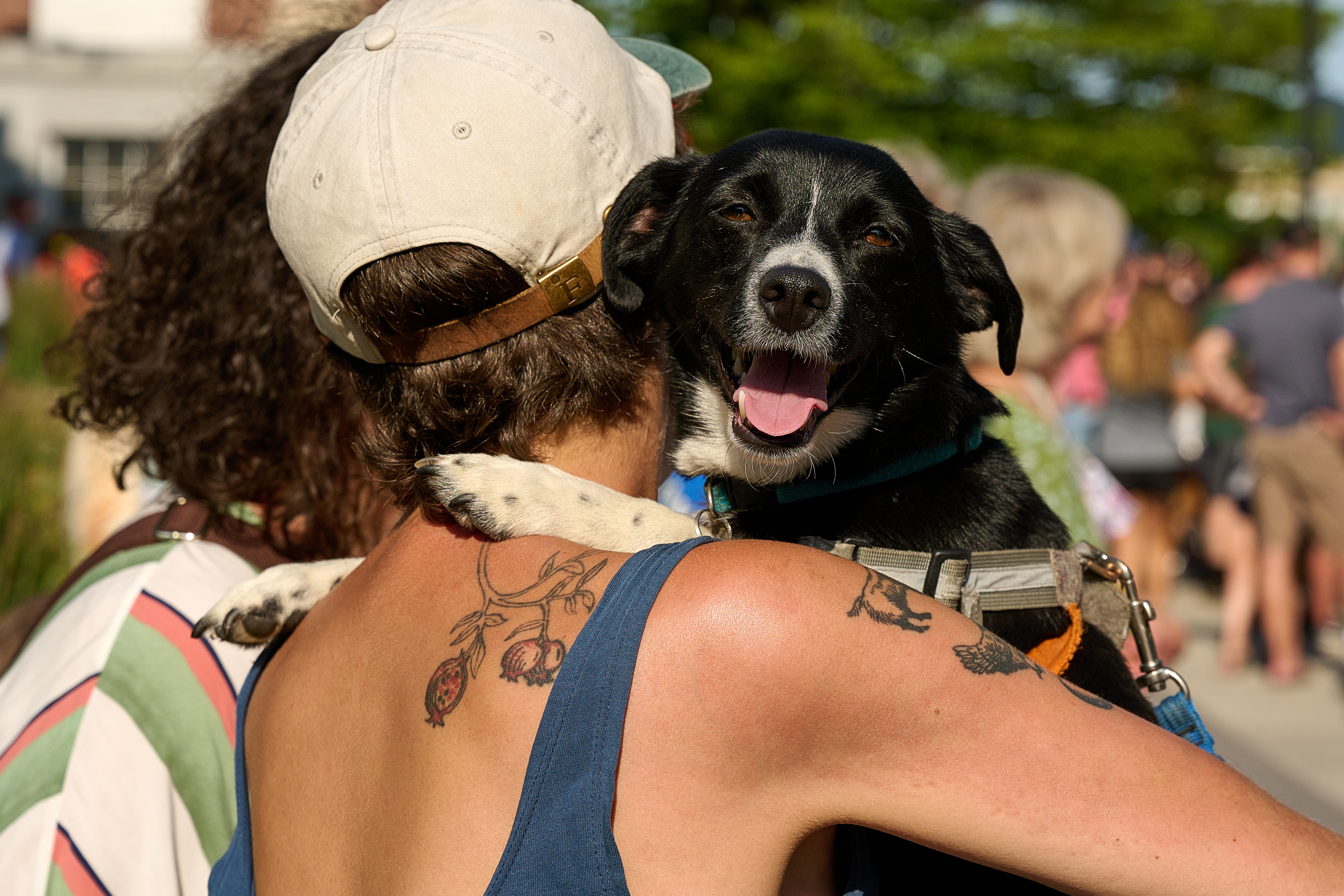 Burlington VT | Pet Friendly Hotels