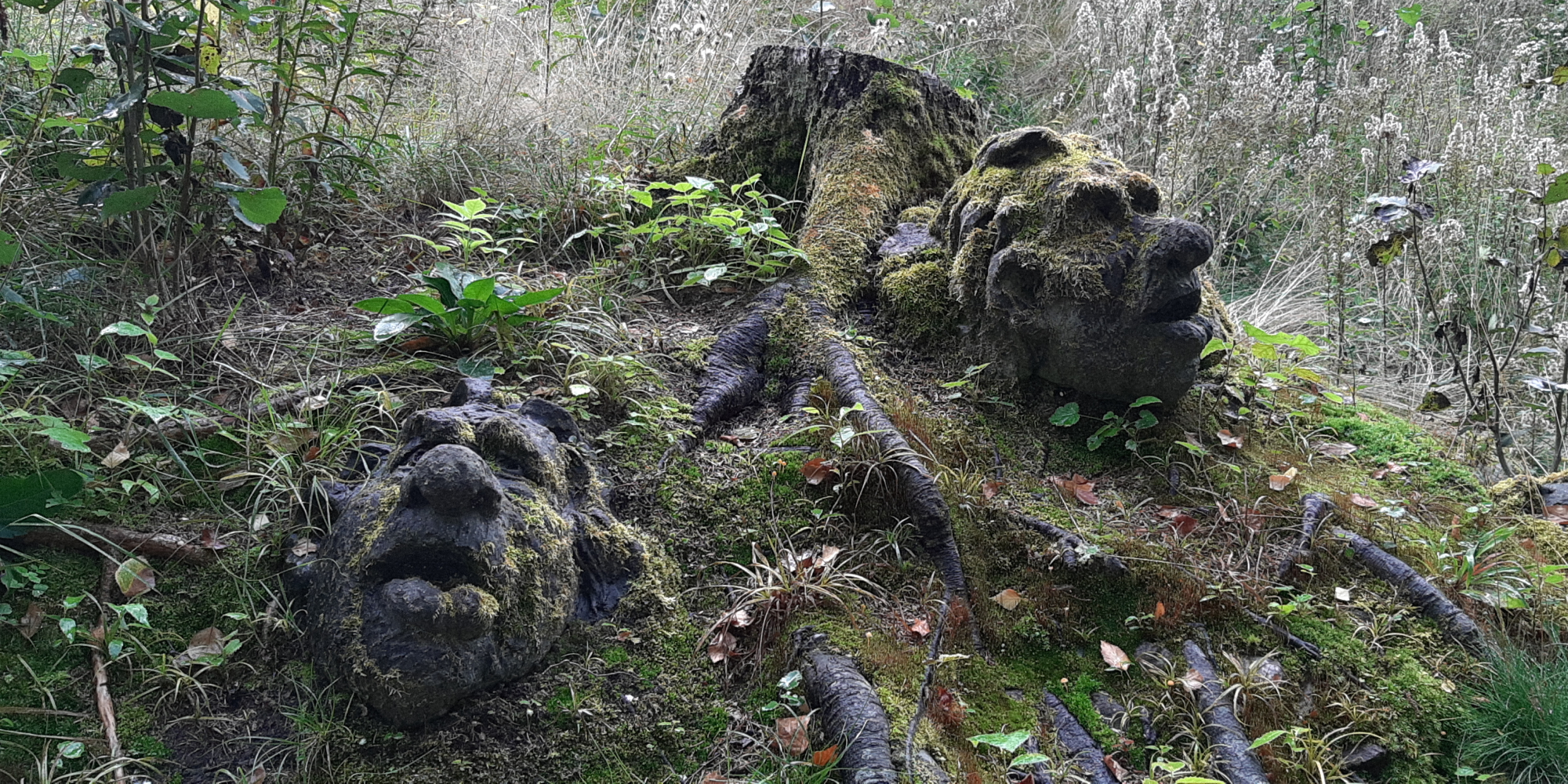 Peaceful Sleep of a Norwegian Folklore Troll in Ancient Green Pine Forest