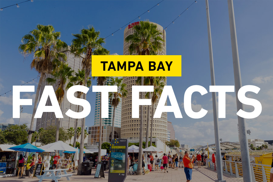 Tampa Bay Rays Facts for Kids