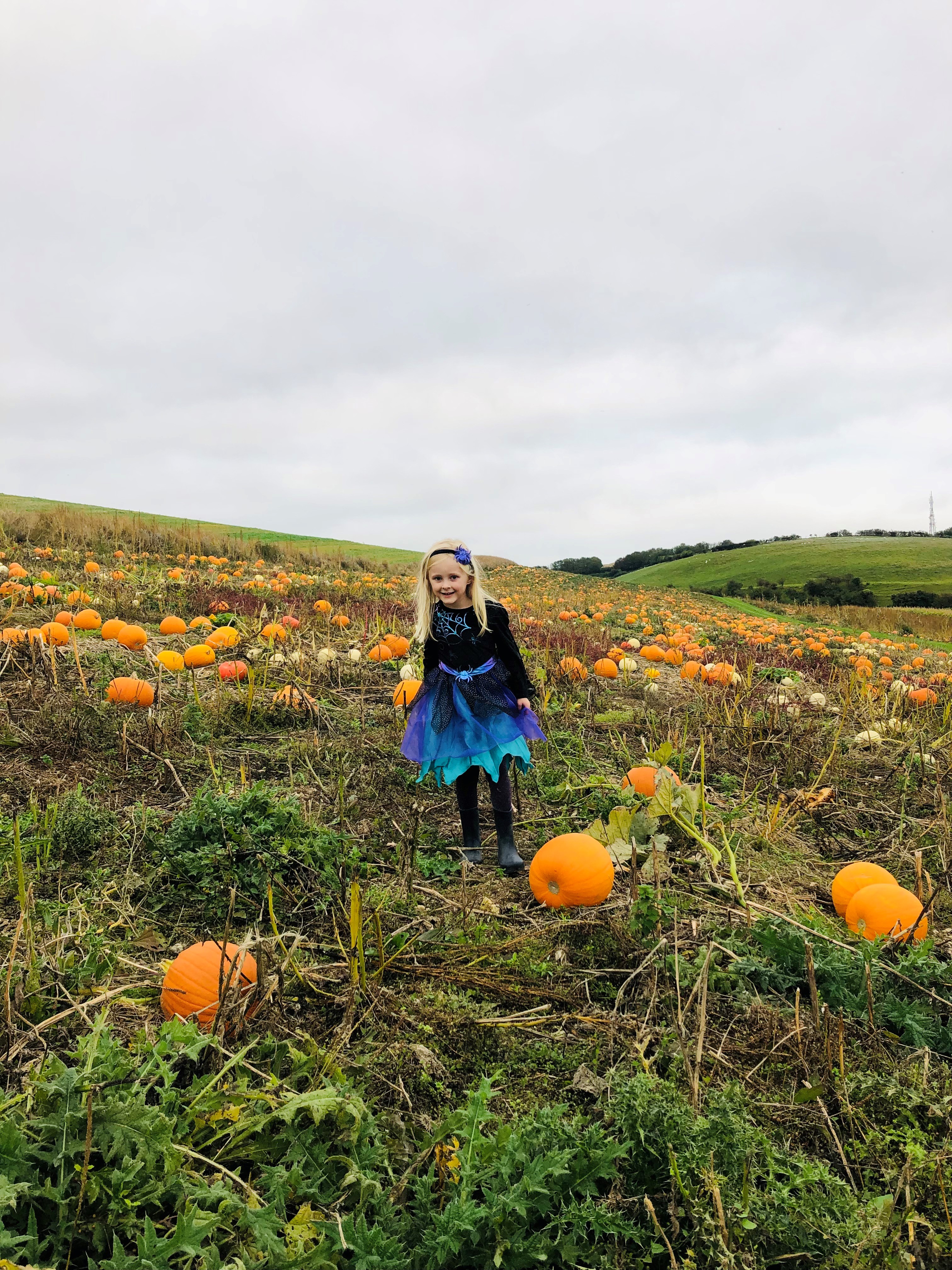 October Half Term and Halloween in Dorset - Visit Dorset