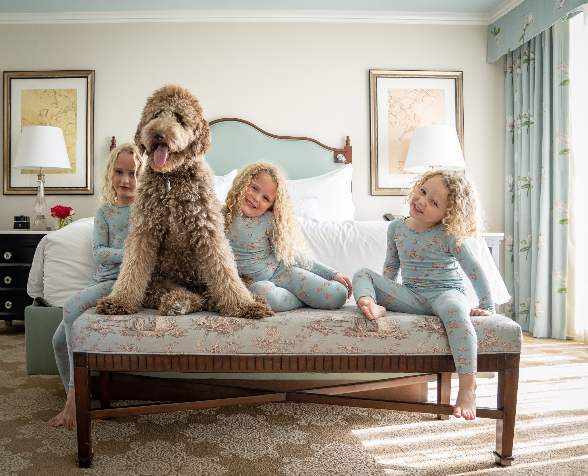 What Motels Take Dogs