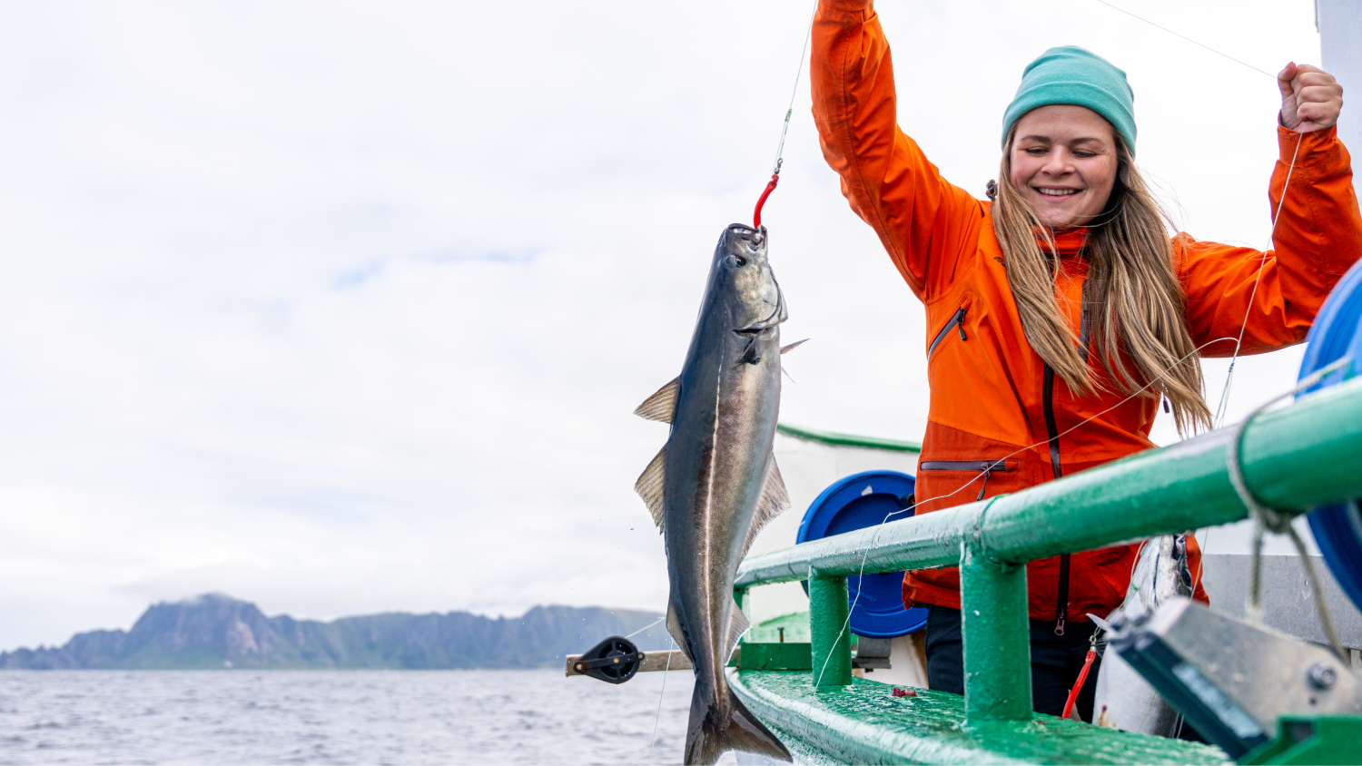 Free picture: fisherman, proudly, shows, catch