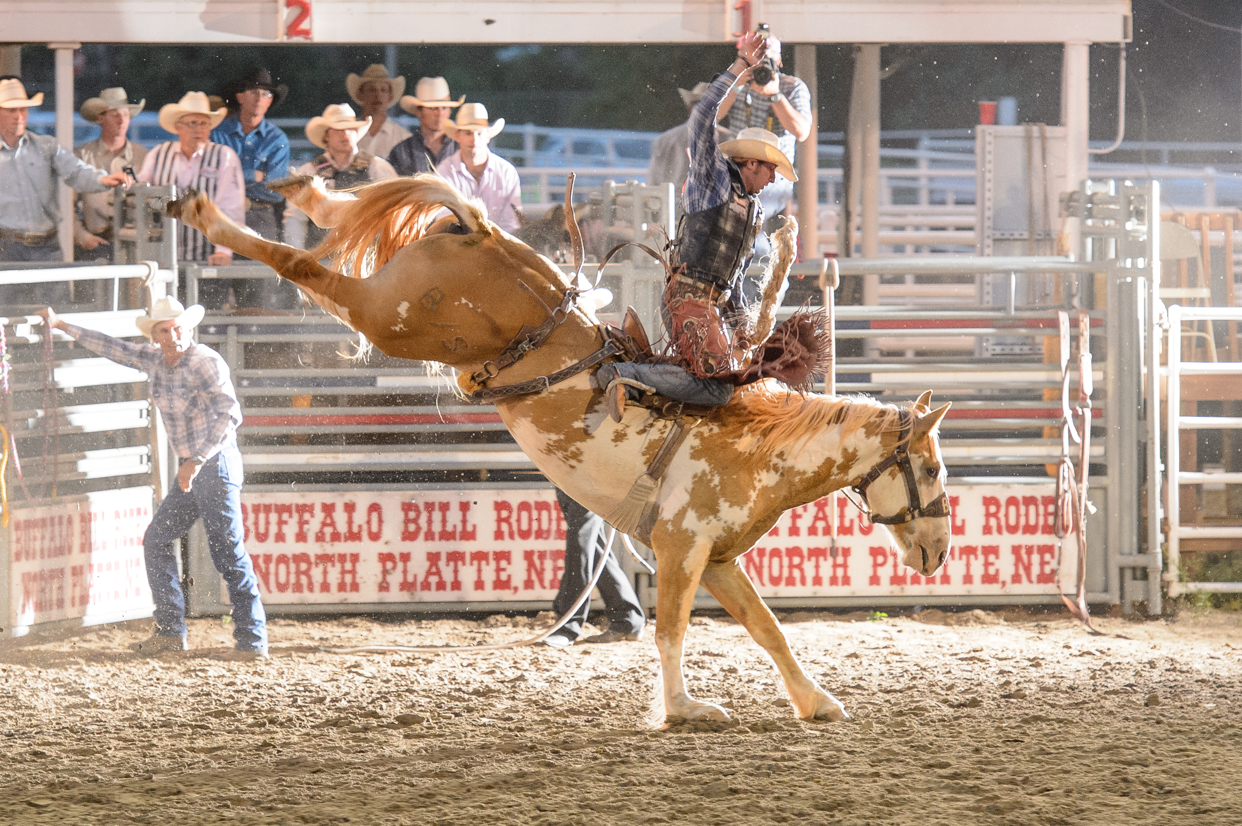 Buffalo Bill Boxing Brawl - Play North Platte