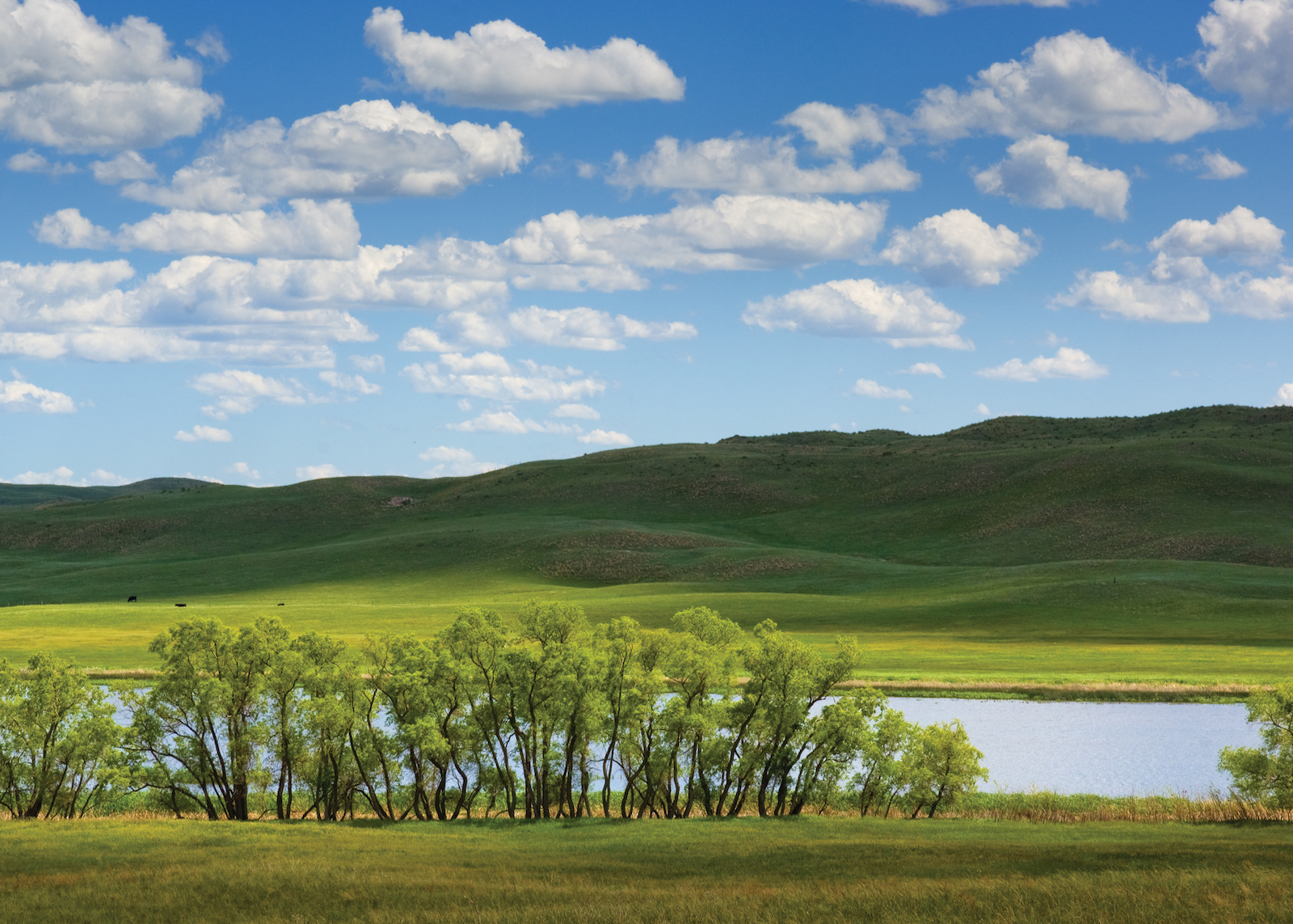 Nebraska（プロフ必読） Visitor Guide