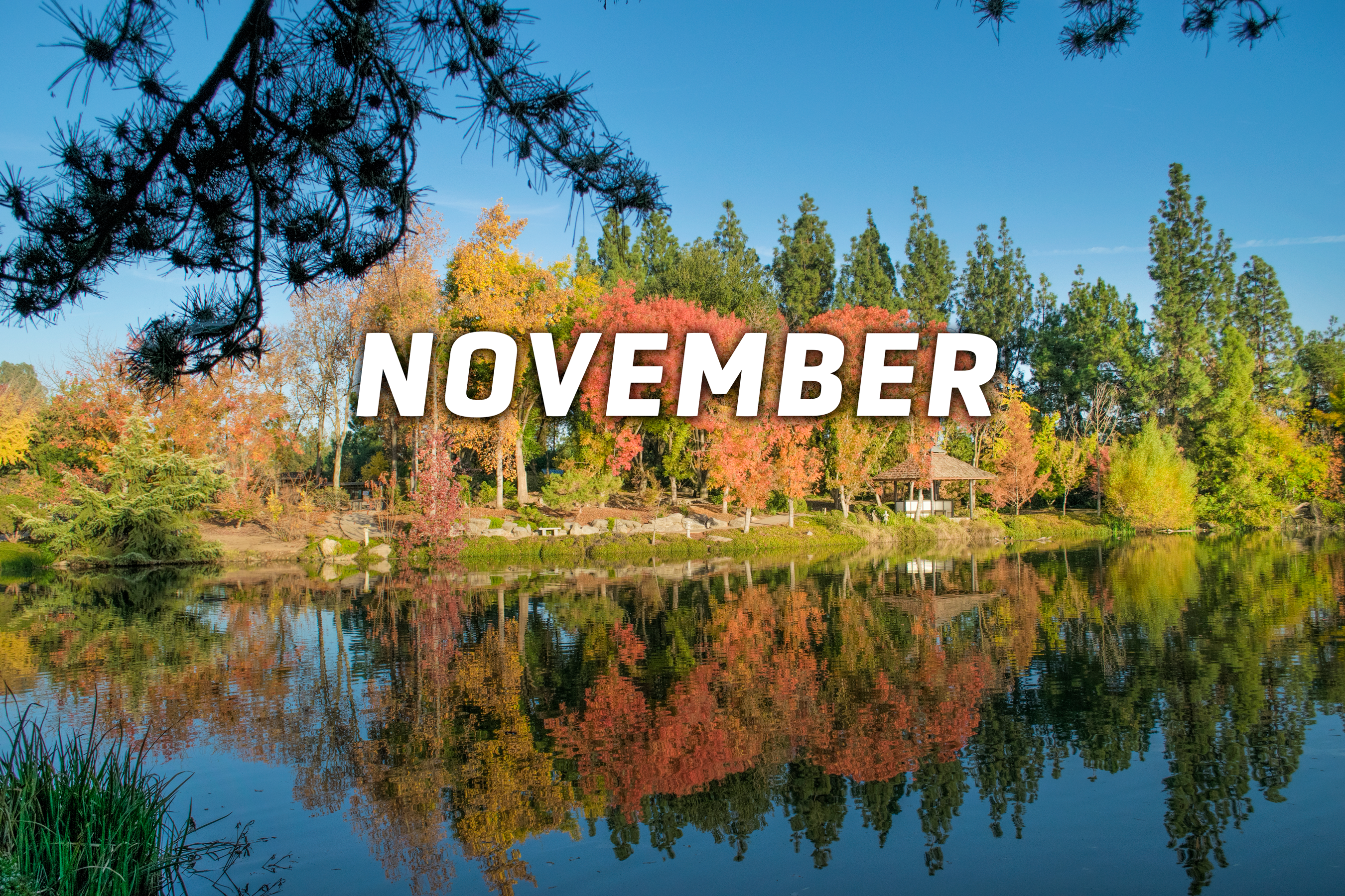 November Events in Fresno County