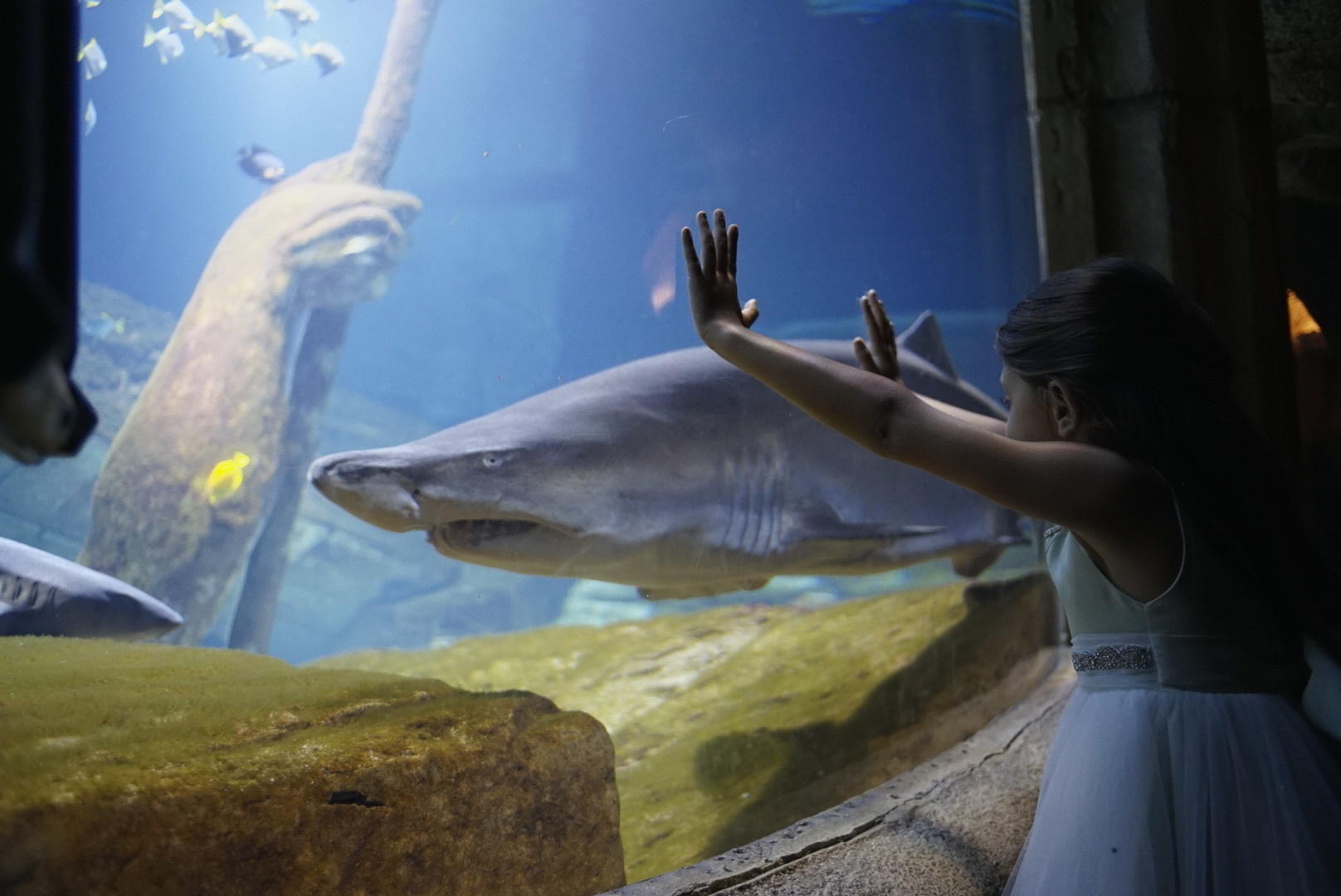 Explore the Aquarium - Long Island Aquarium