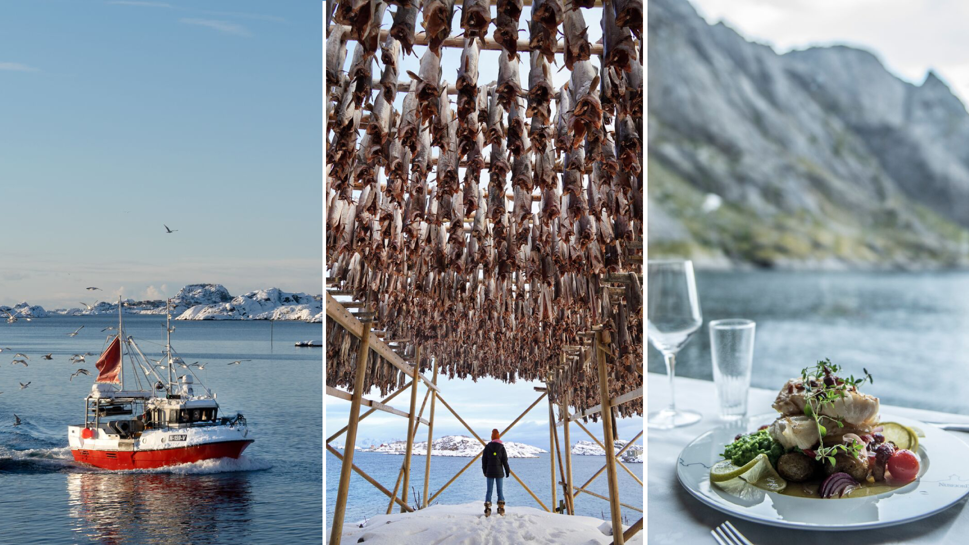 Cod Stockfish.Industrial Fishing in Norway Stock Photo - Image of