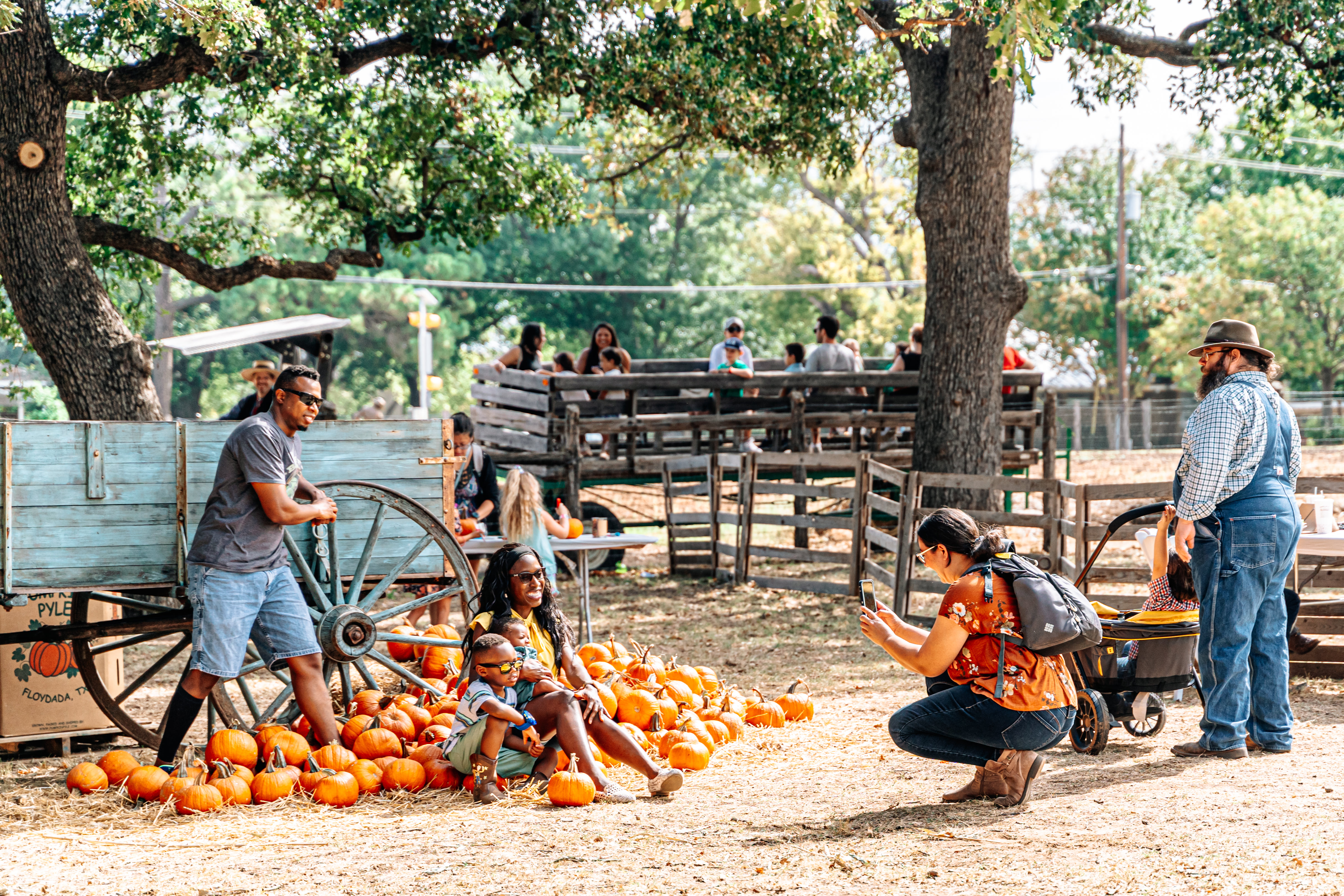 Nash farm park events