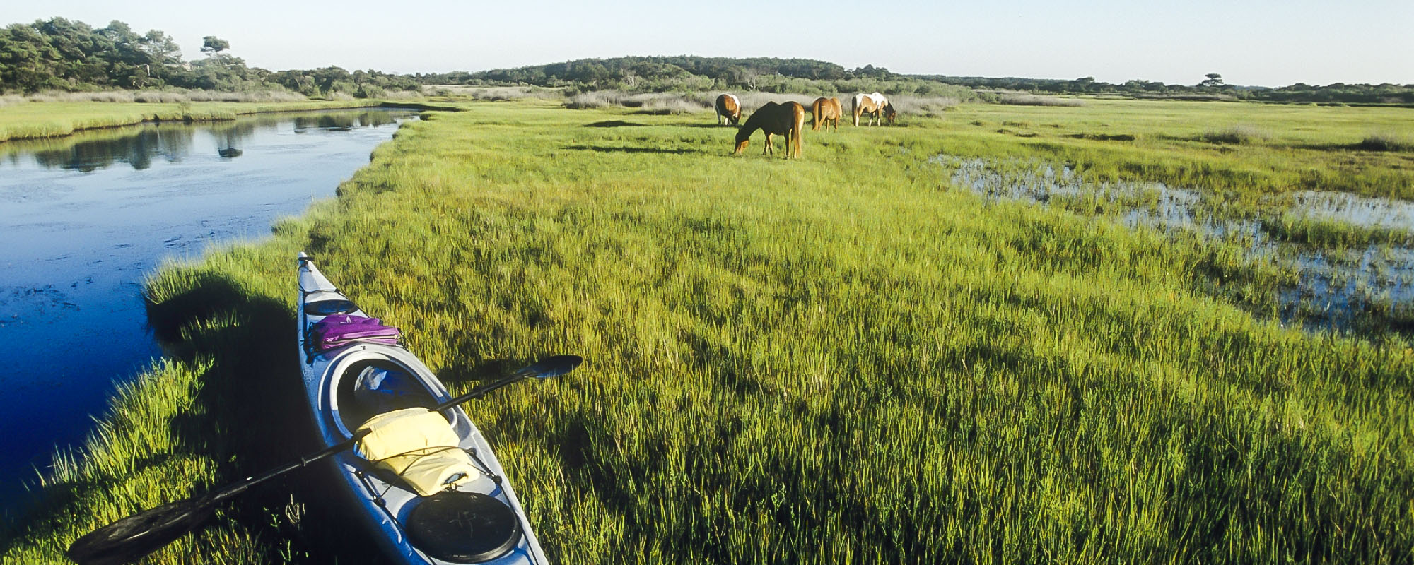 Canoe & Kayak – Maryland Outdoor Life