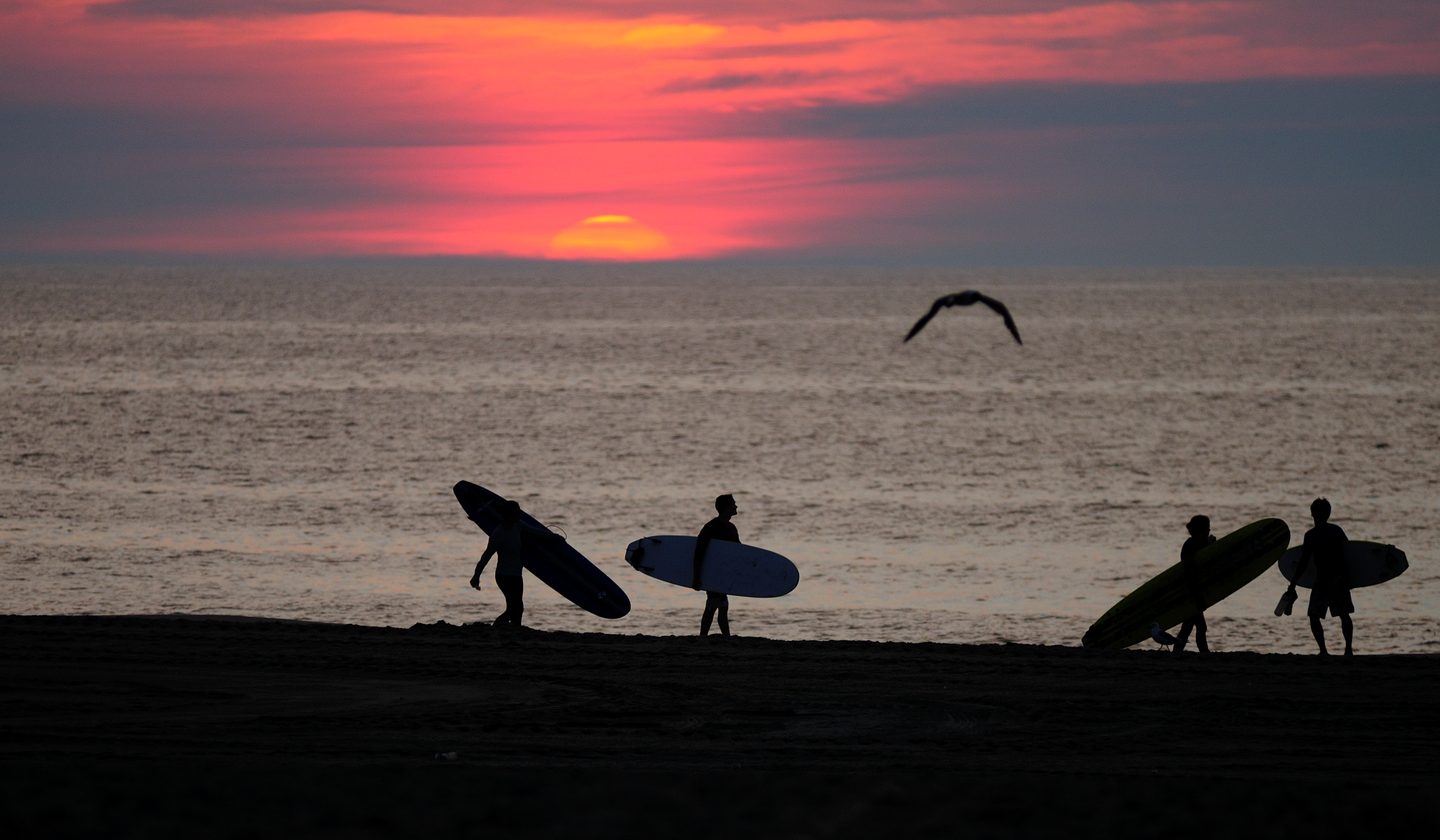 Surfing & Paddleboarding