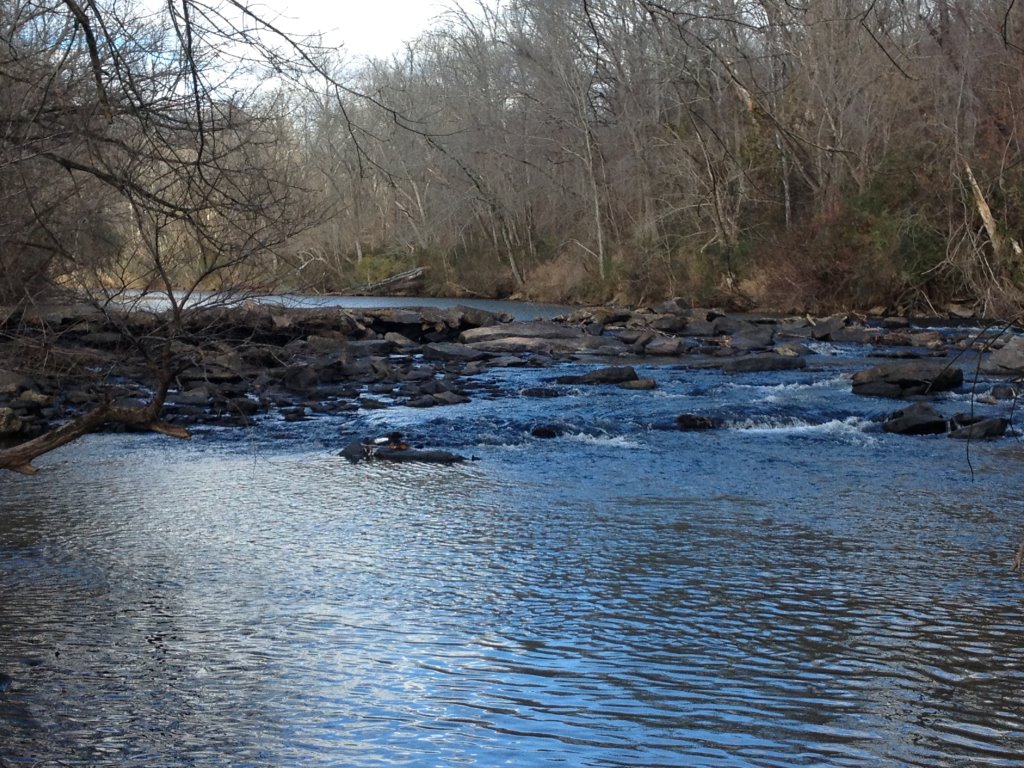 Deep River State Trail | NC Triad Outdoors