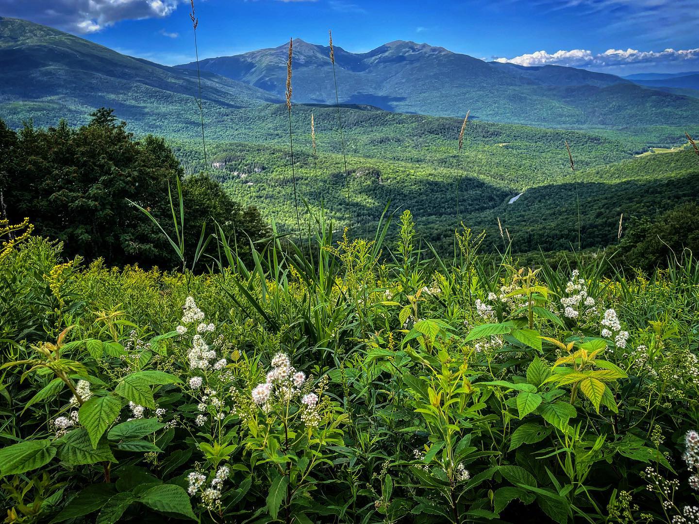 Summer Fun in the White Mountains NH, image size:1440x1080
