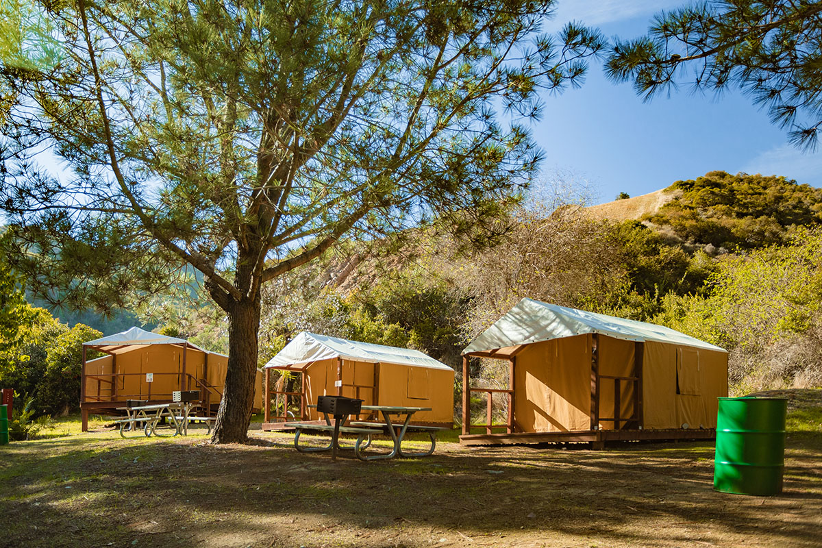 Avalon campsite best sale