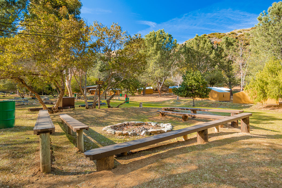 Avalon campsite new arrivals