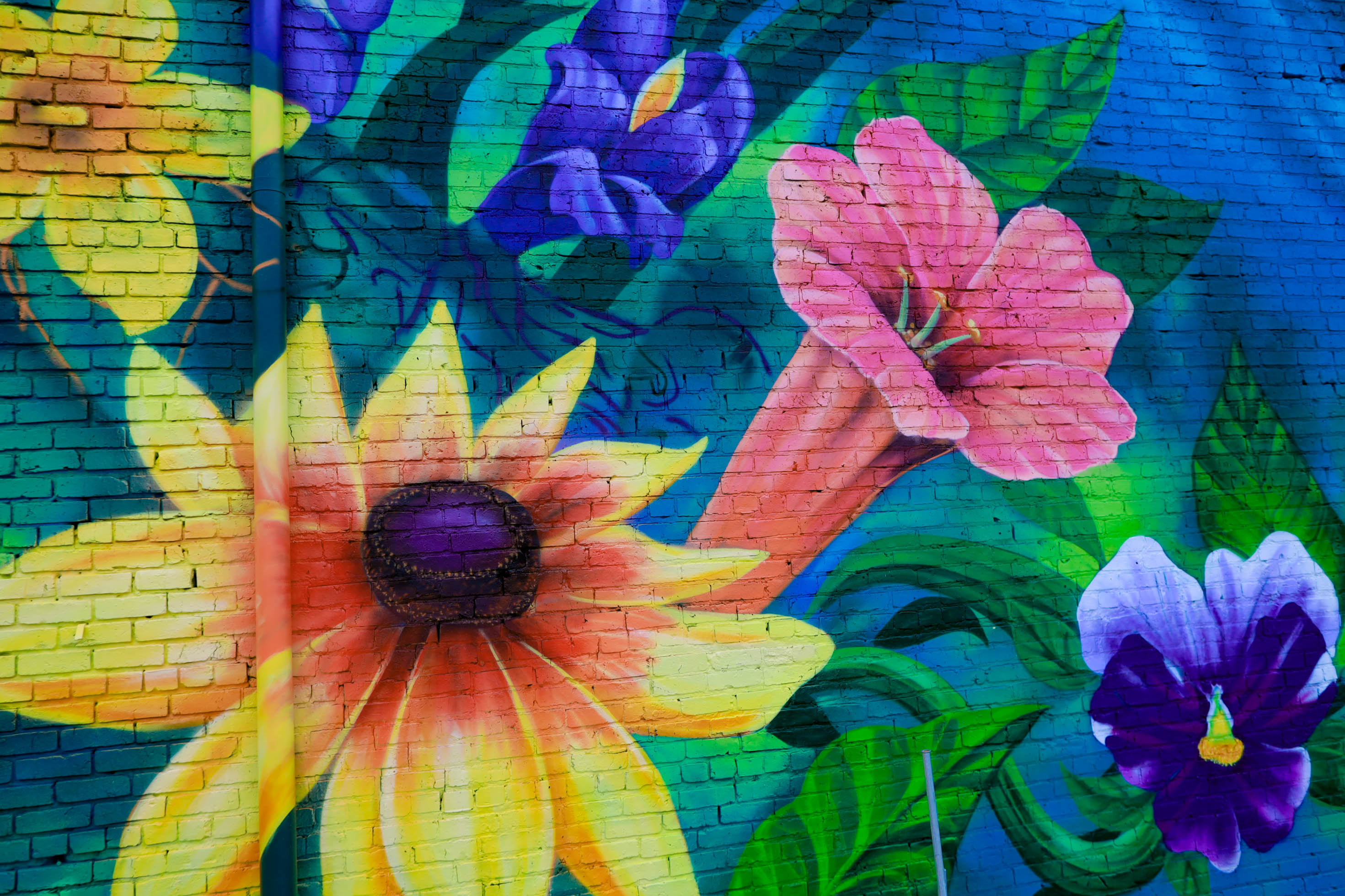 Bringing Walls to Life: Meet the Artist Behind Rock Hill's