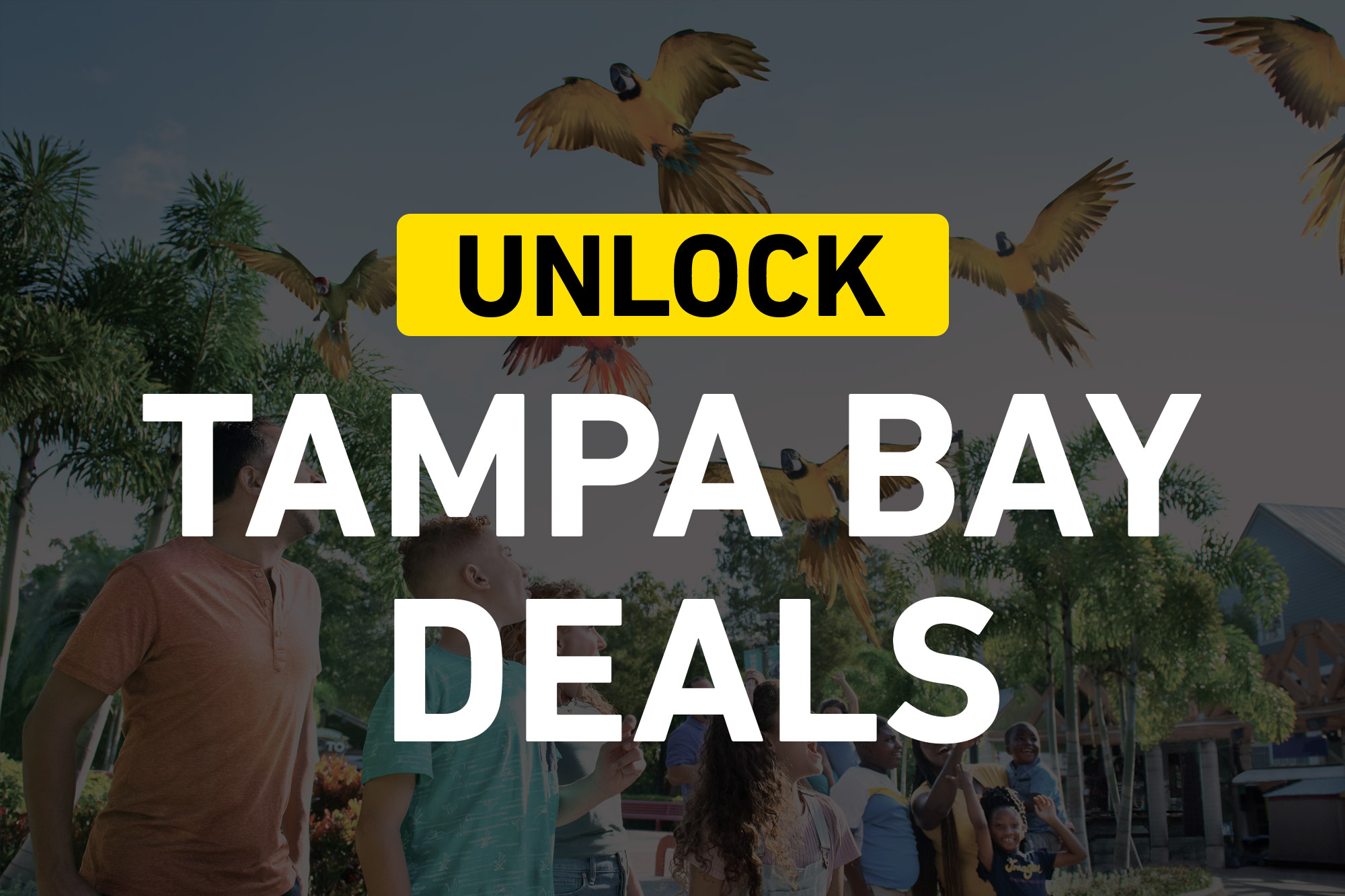 Shop Tampa Bay  Unlock Tampa Bay Visitors Center – Visit Tampa Bay