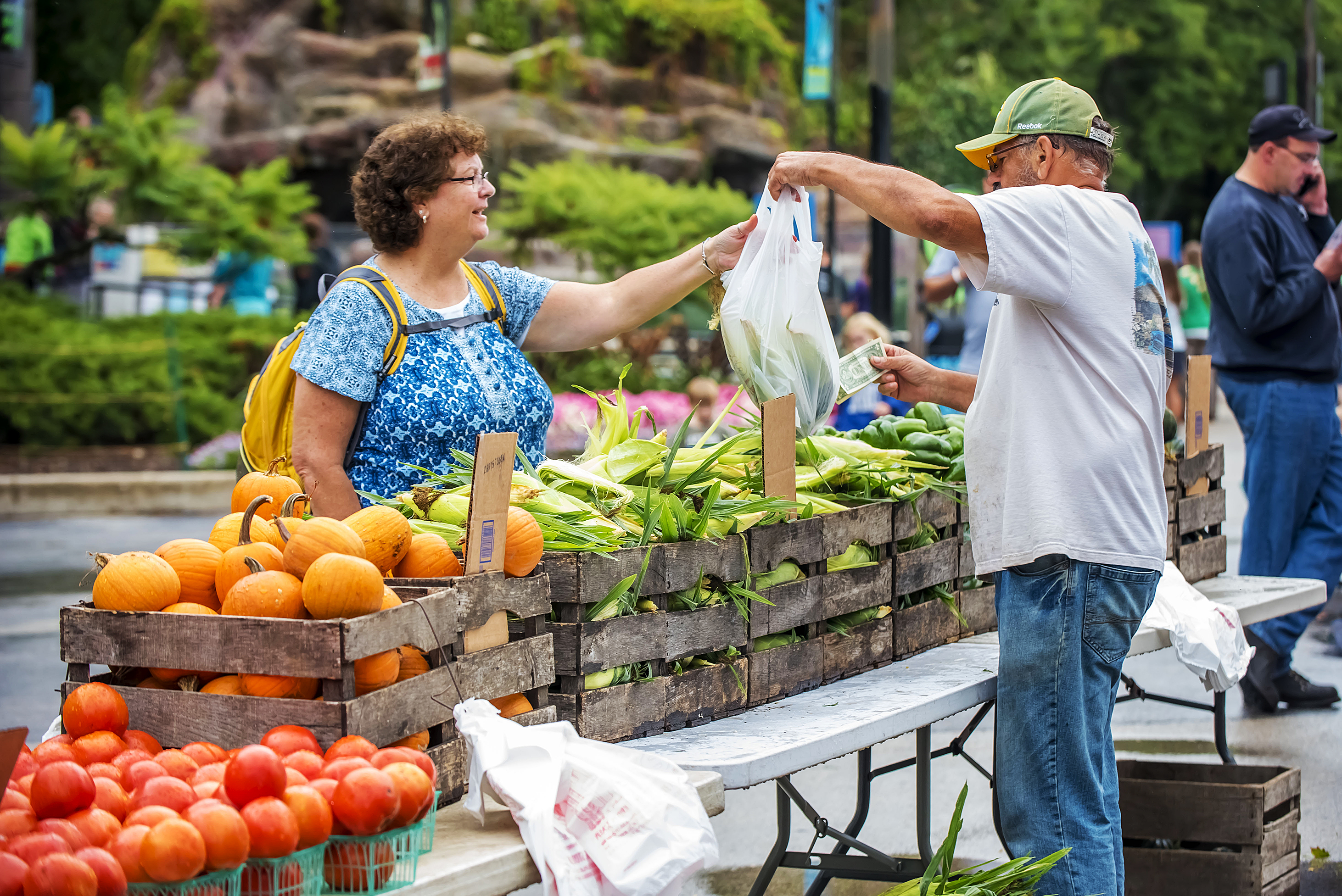 10 Crucial Tips for Shopping at Farmers Markets