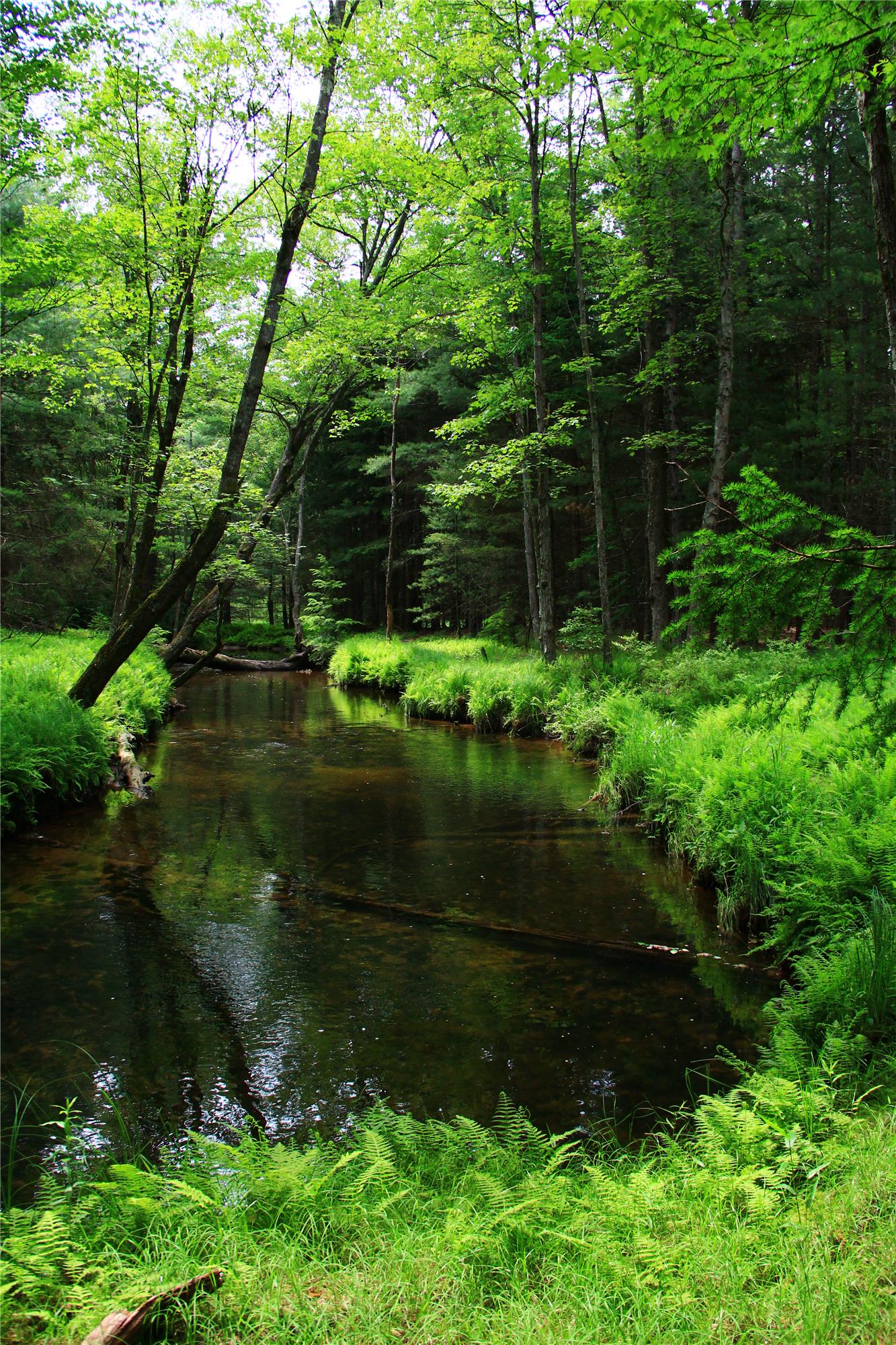 Hiking Adventures in the Susquehanna River Valley