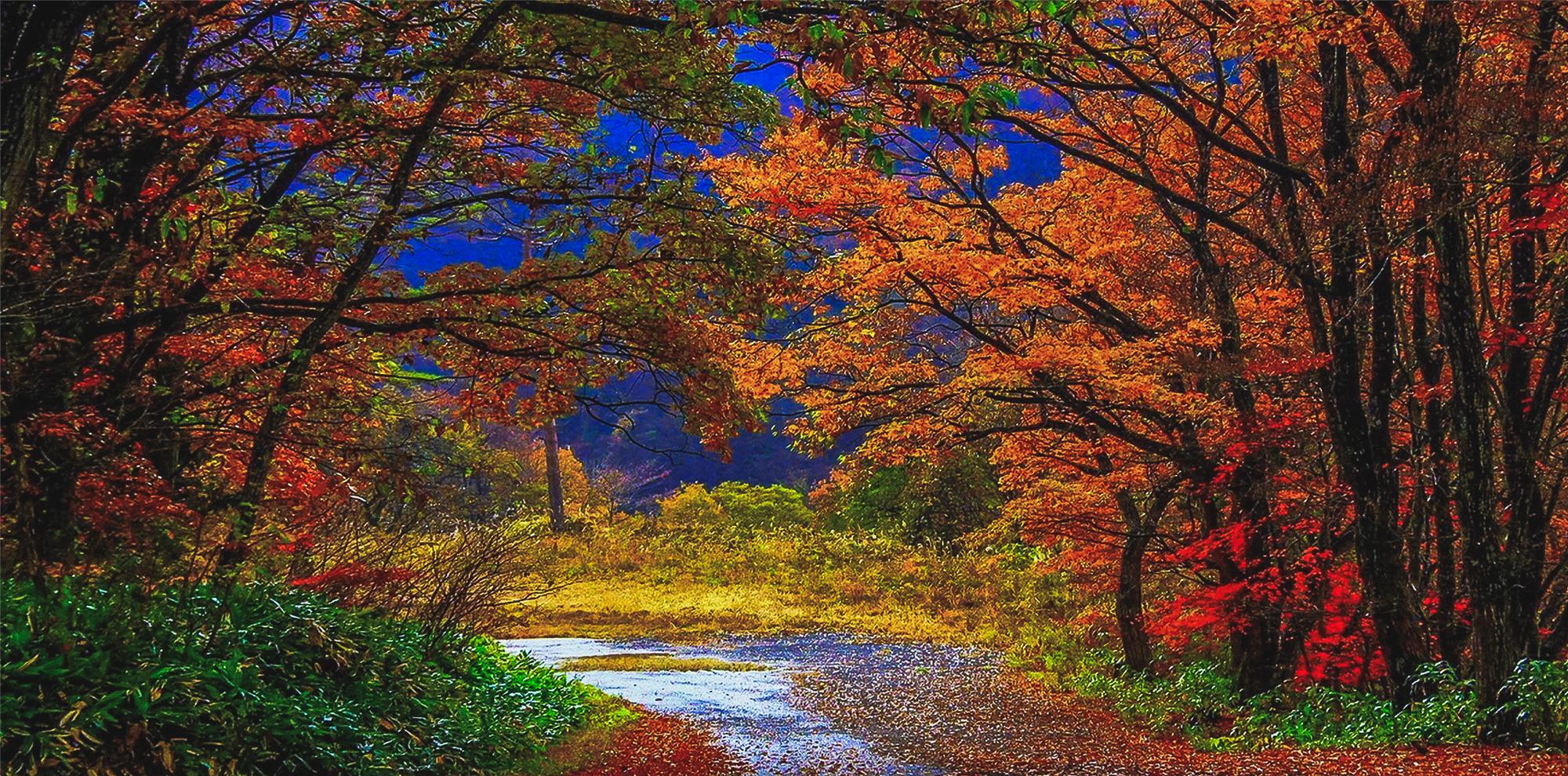 Fall Scenery Autumn In Wallpapers Backgrounds