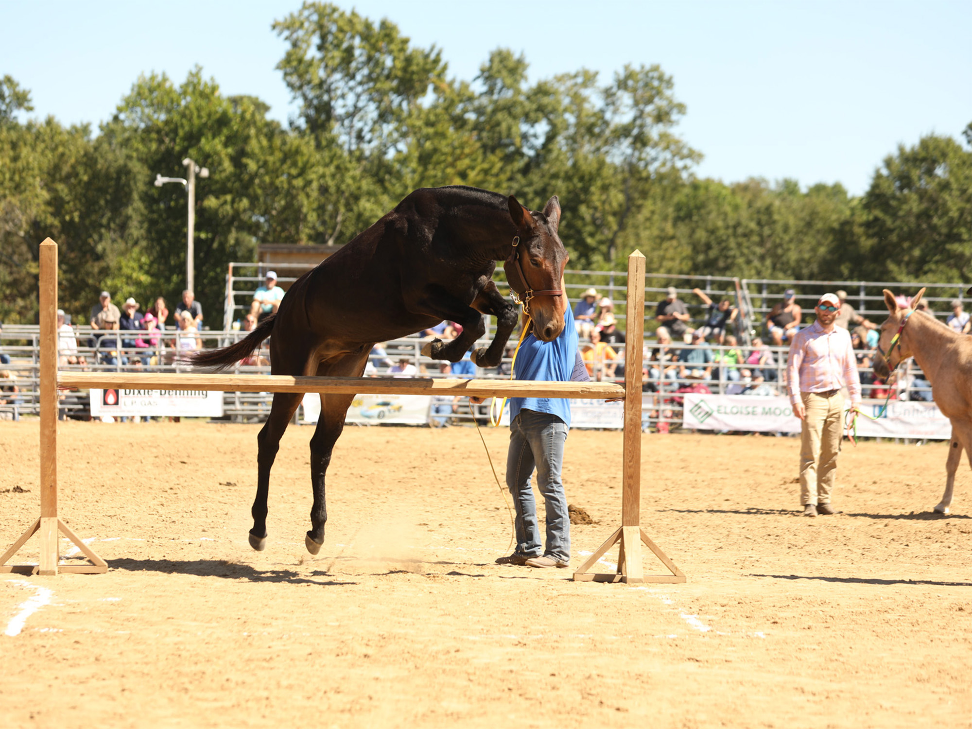 Events | Annual Events and Festivals, Johnston County, NC