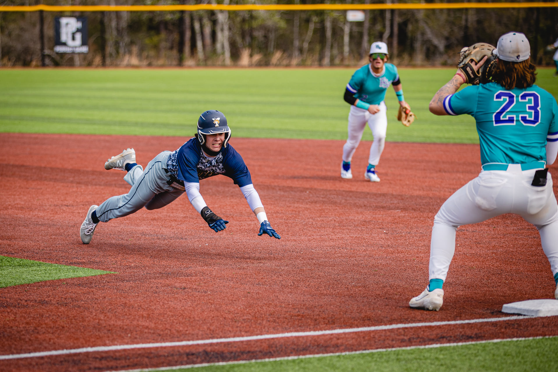 Seals Baseball  Summer Collegiate and Youth Teams