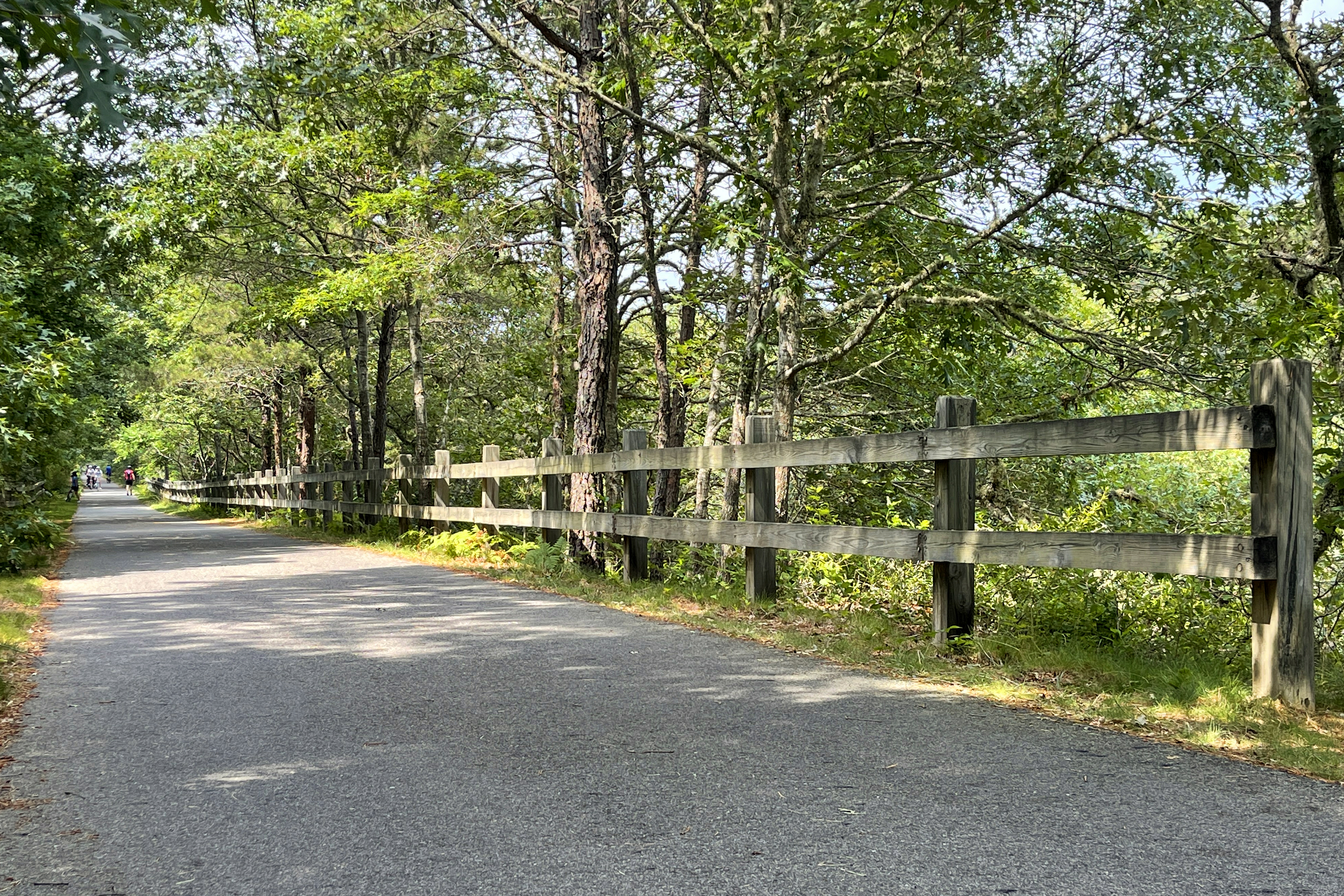 Cape Cod Rail Trail -  / Whitman, MA (781) 447-7223