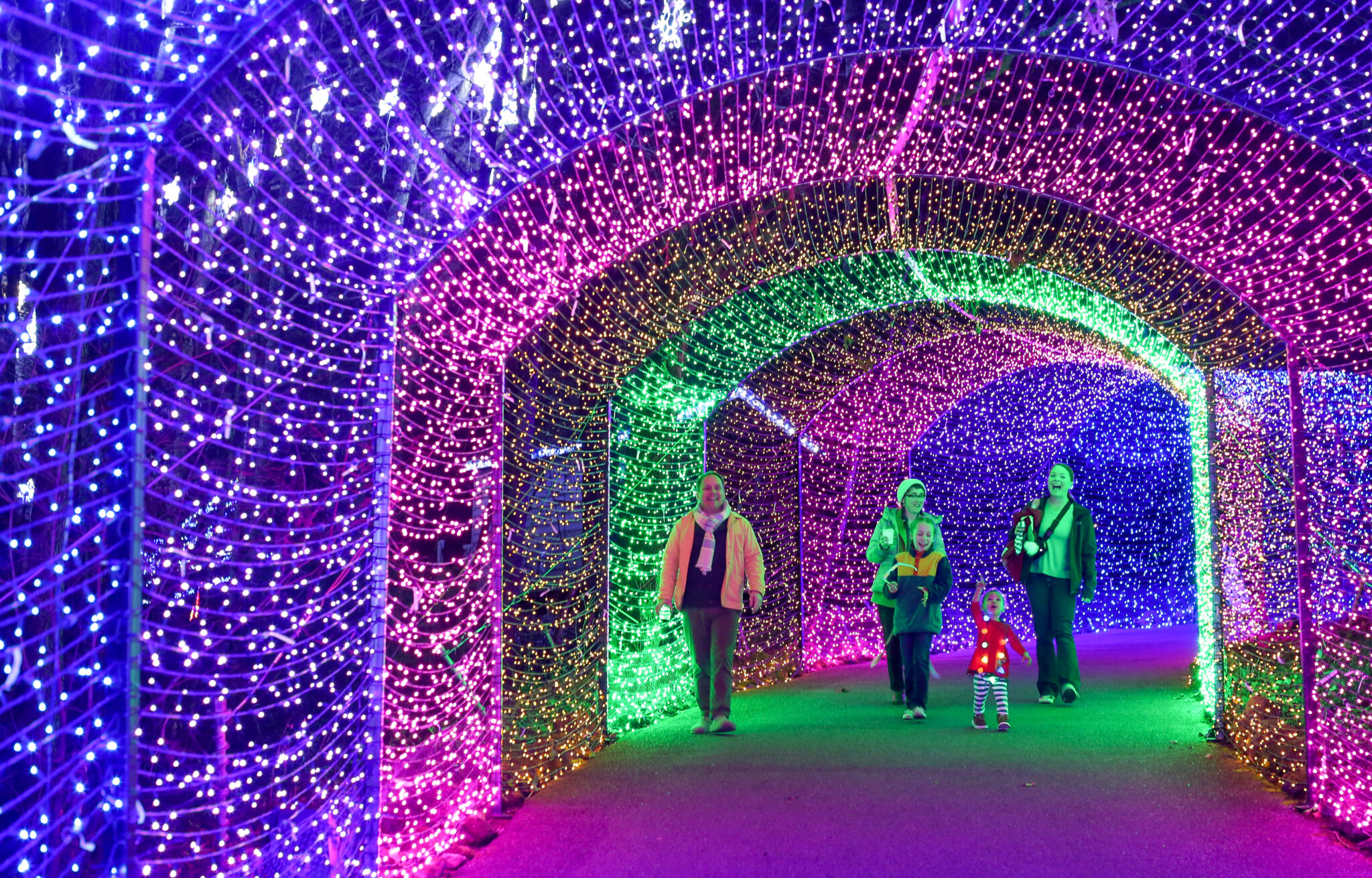 Holiday Lights Show at State Botanical Garden of Georgia in Athens