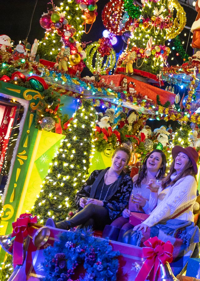 Pictures of Park Meadows Mall at Christmas