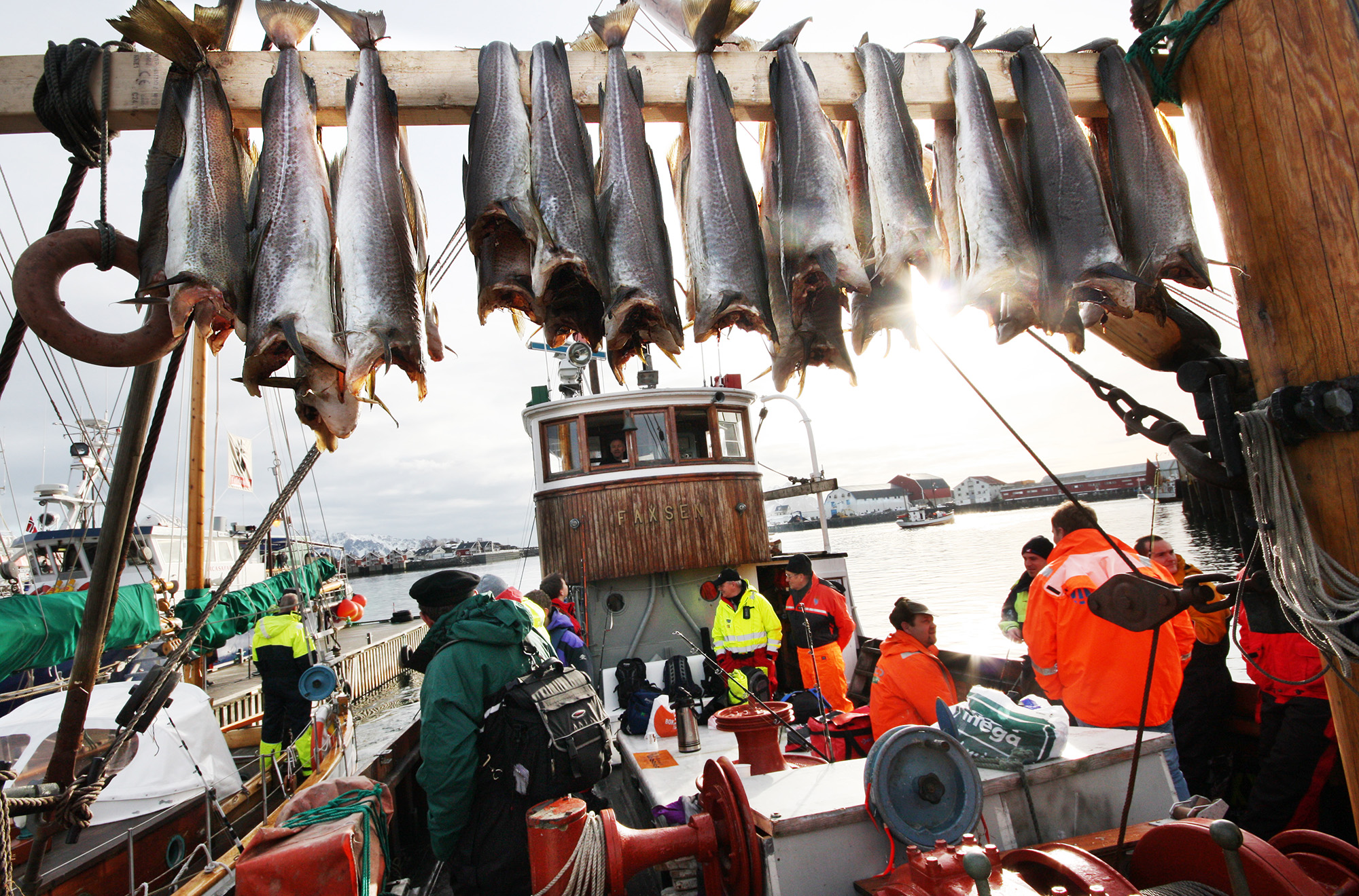 Fjord and sea fishing in Norway