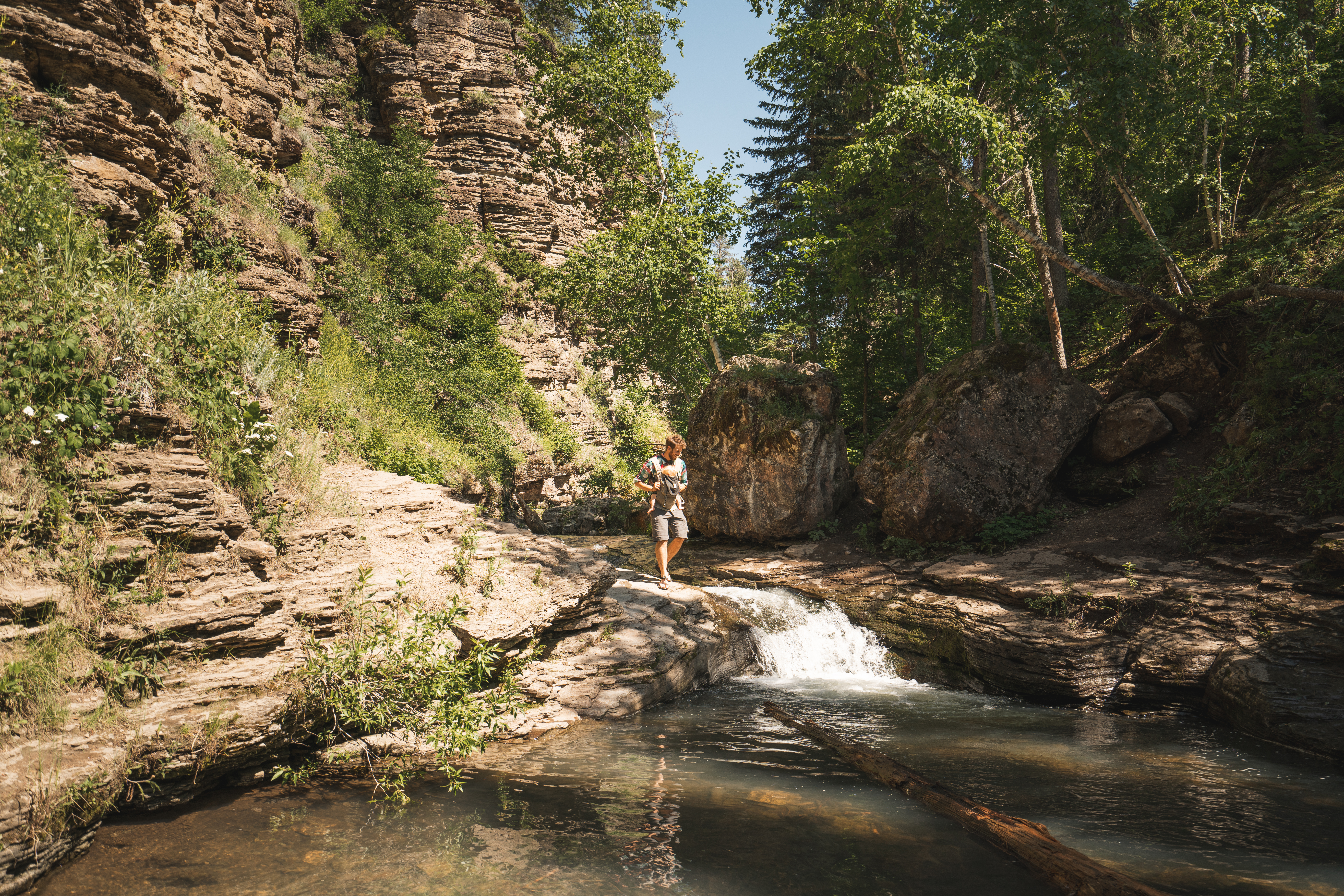 Black Hills / Badlands | Visit Rapid City